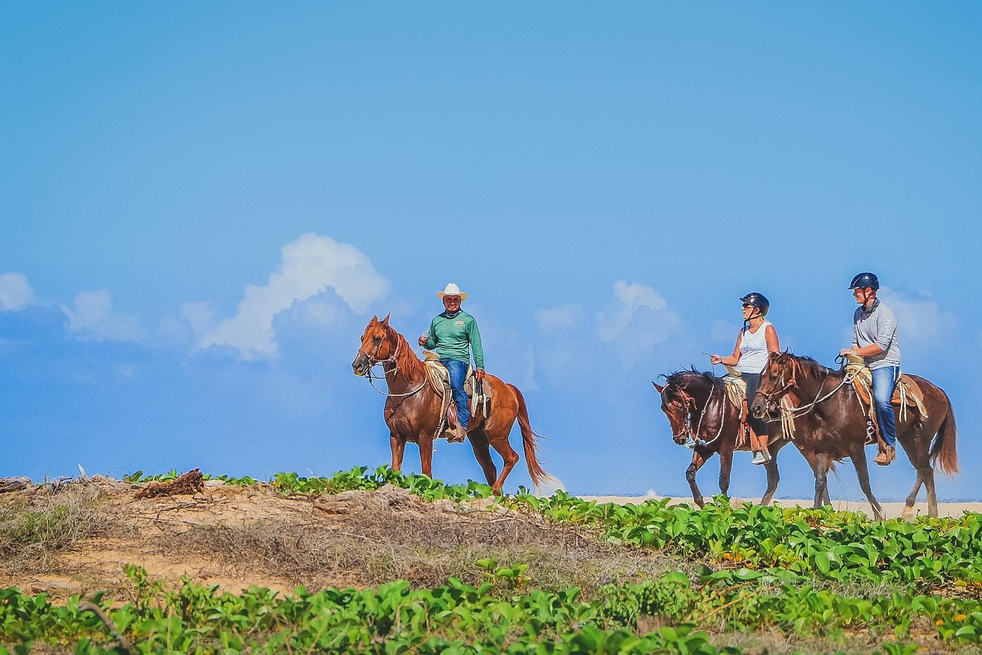 Tour a caballo por Los Cabos - Imagen 4