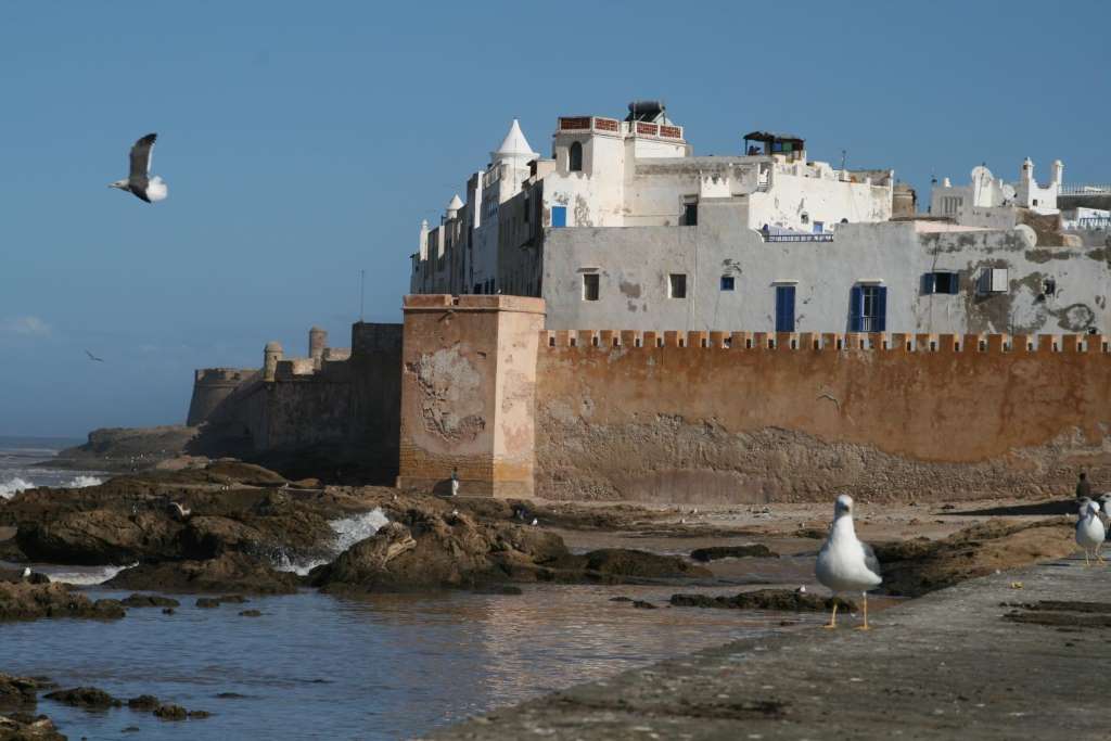 Día Completo en Essaouira - Imagen 2