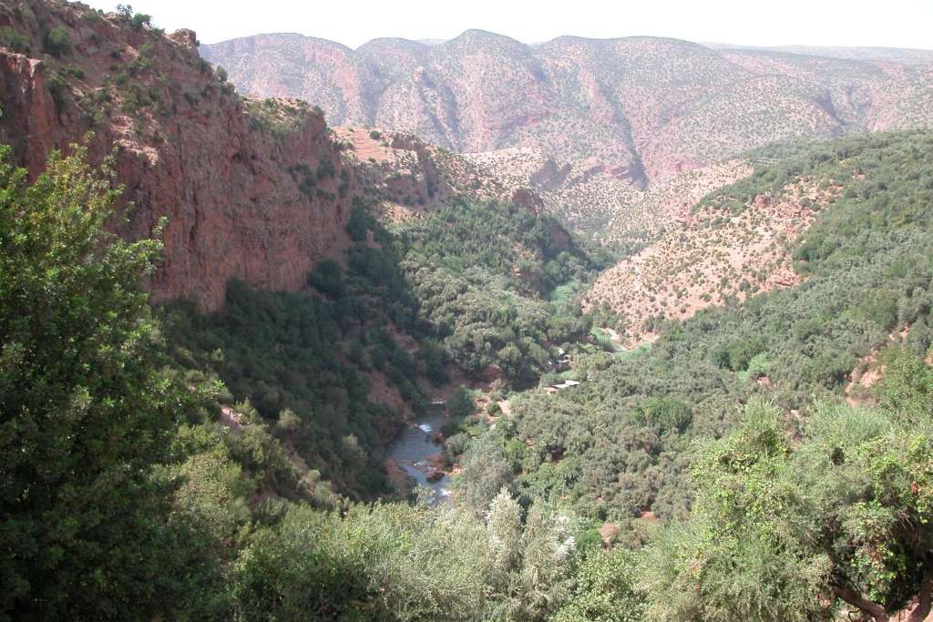 Visite Las Cascadas Mágicas de Ouzoud - Imagen 2