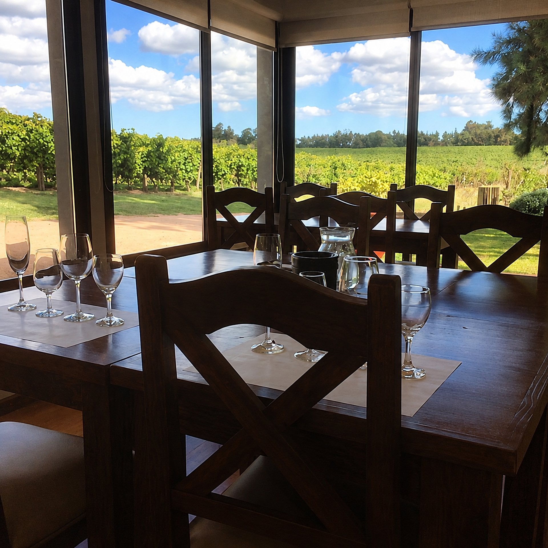 Tour a Bodega Pizzorno - Imagen 3