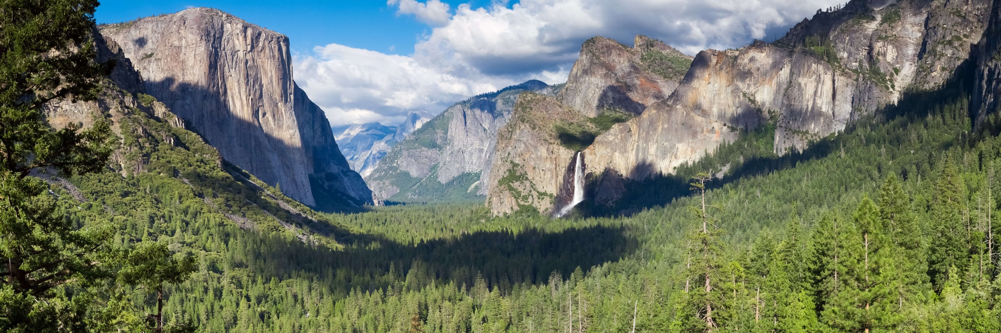 Parque Nacional Yosemite: día completo - Imagen 2