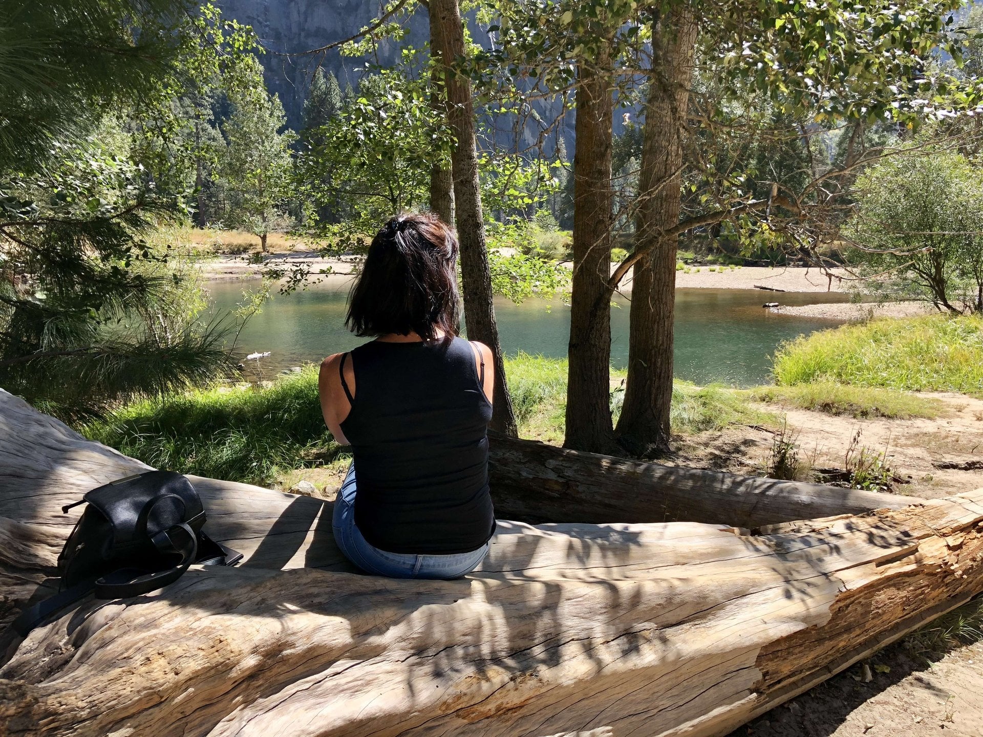 Parque Nacional Yosemite: día completo - Imagen 4