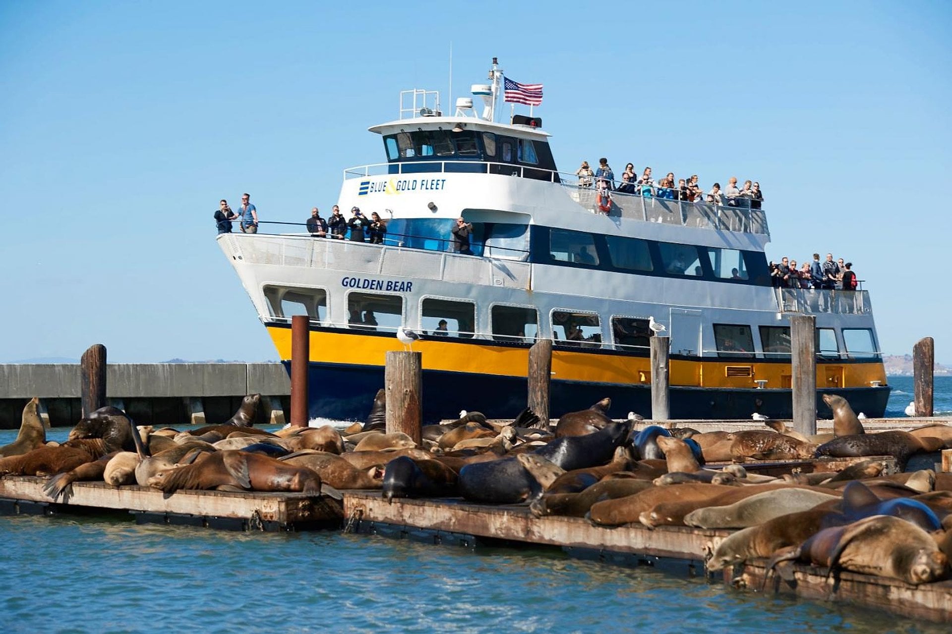 Crucero por la bahía de San Francisco - Imagen 2