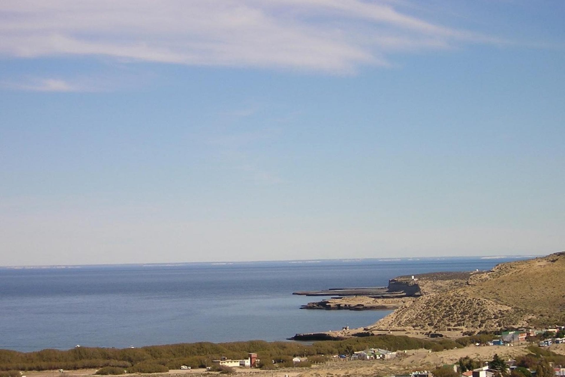 Punta Tombo: excursión de día completo - Imagen 3