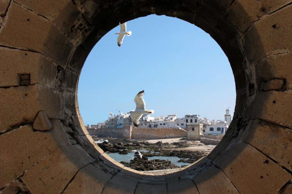 Día Completo en Essaouira - Imagen 3