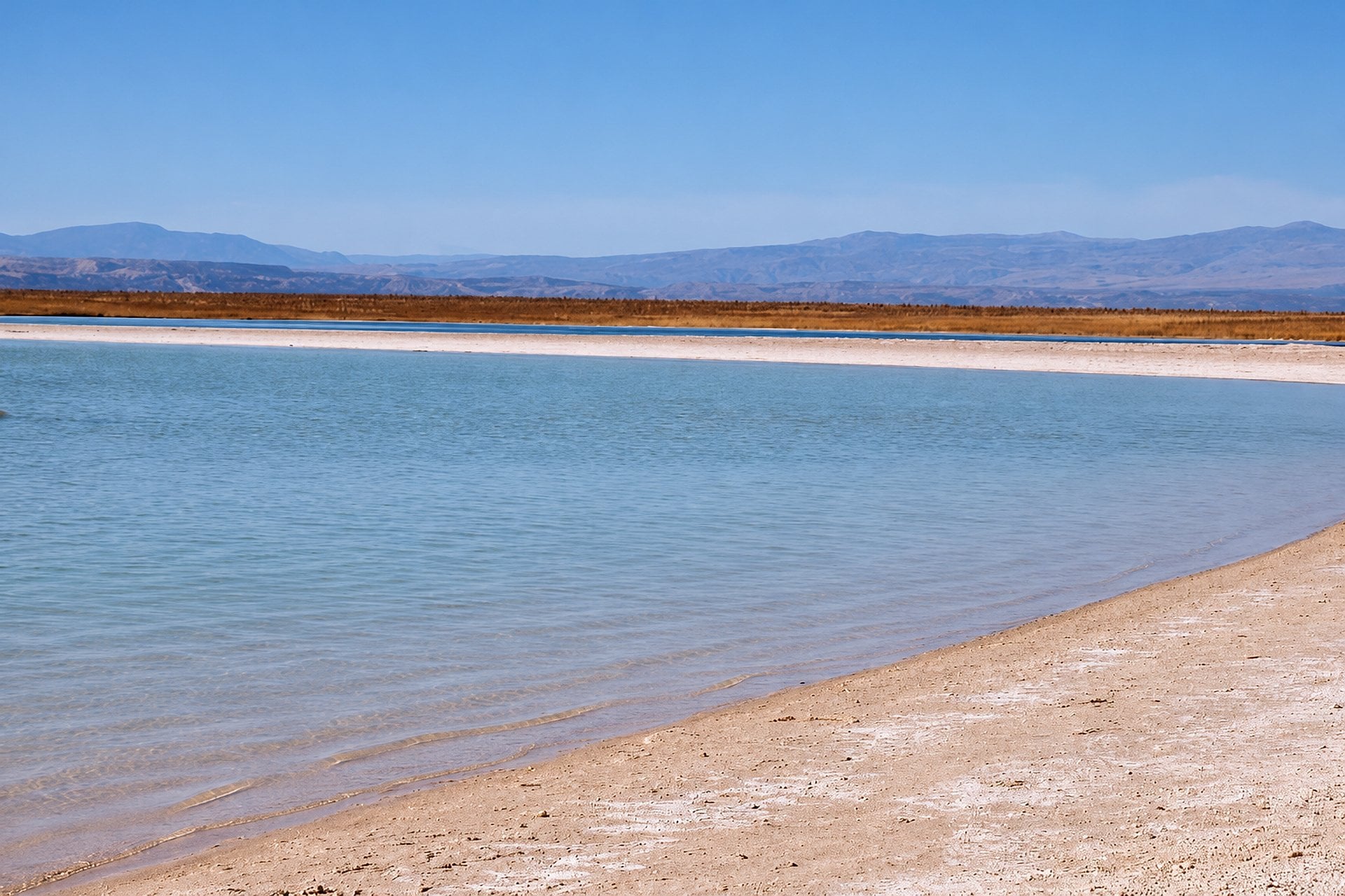 Lagunas Cejar, Tebinquiche y Ojos del Salar - Imagen 4