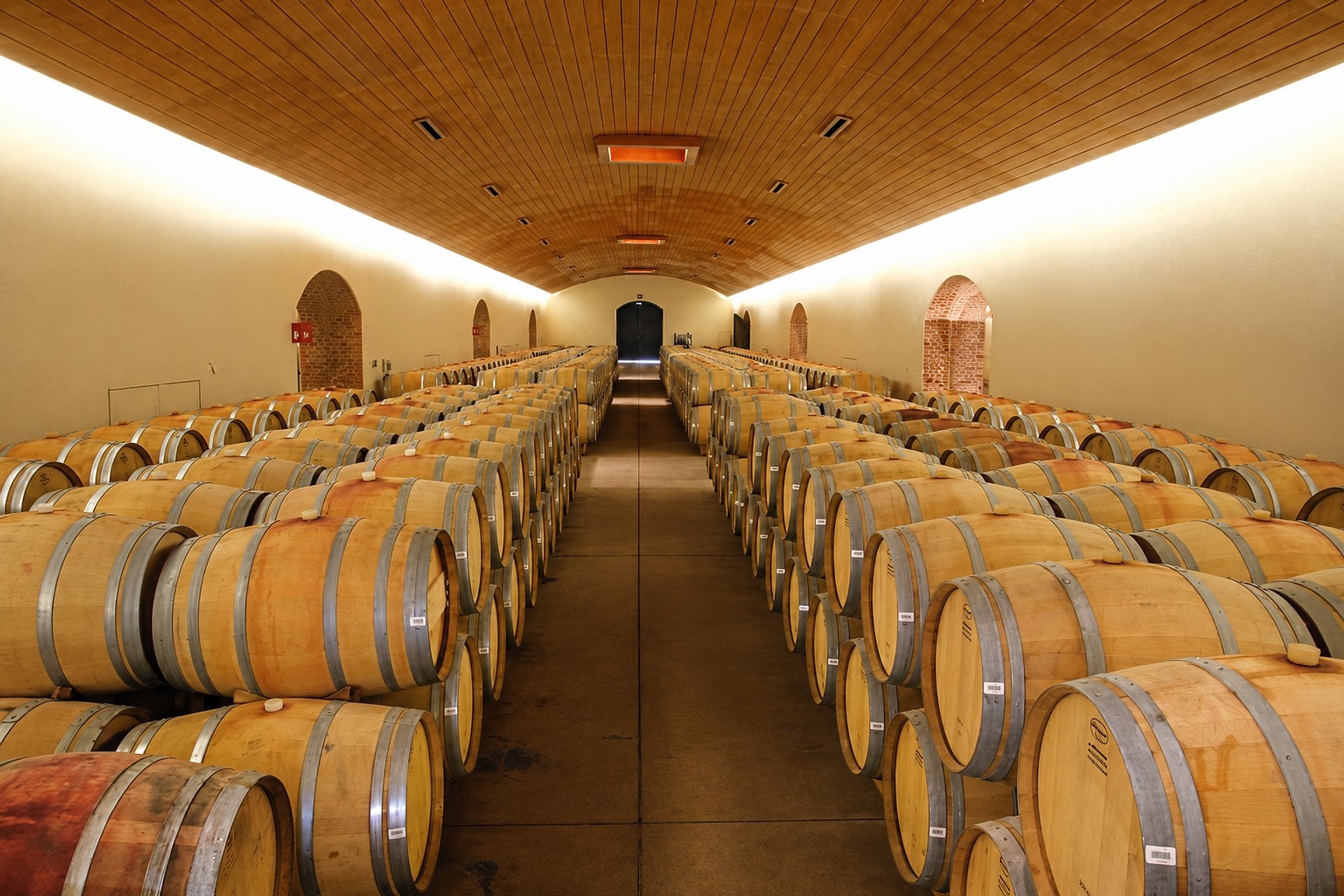 Bodegas Concha y Toro - Imagen 4