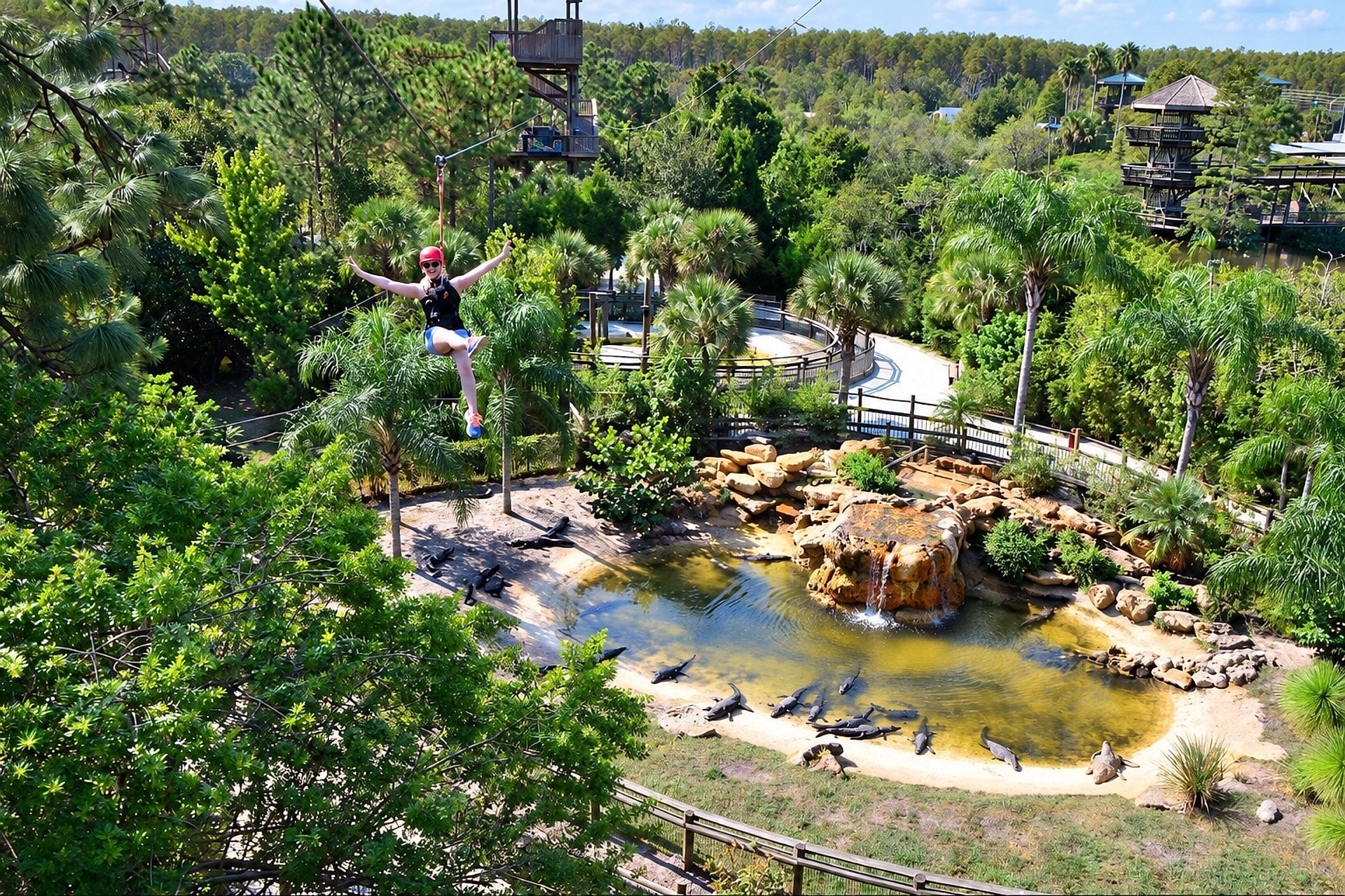 Gatorland - Entrada - Imagen 3