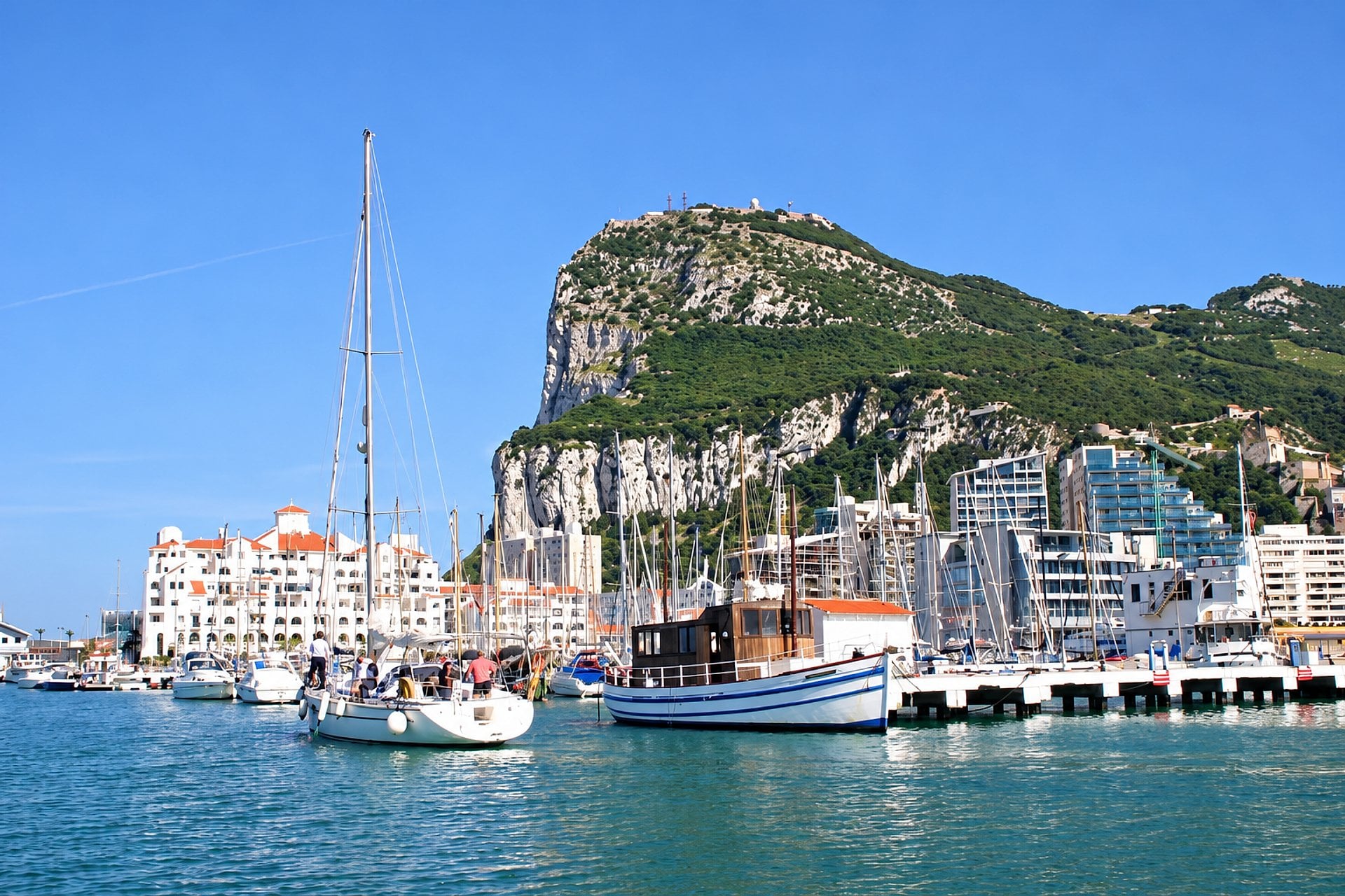 Delfines en Gibraltar - Imagen 2