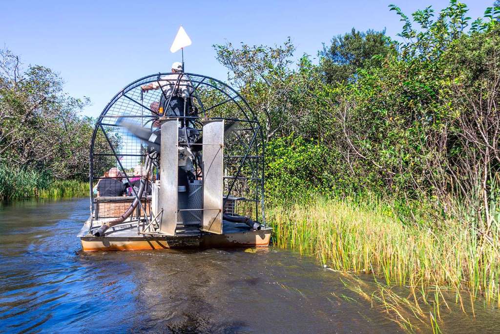 Aerobote y transporte en Wild Florida - Imagen 3