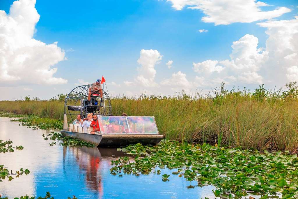 Aerobote y transporte en Wild Florida - Imagen 2
