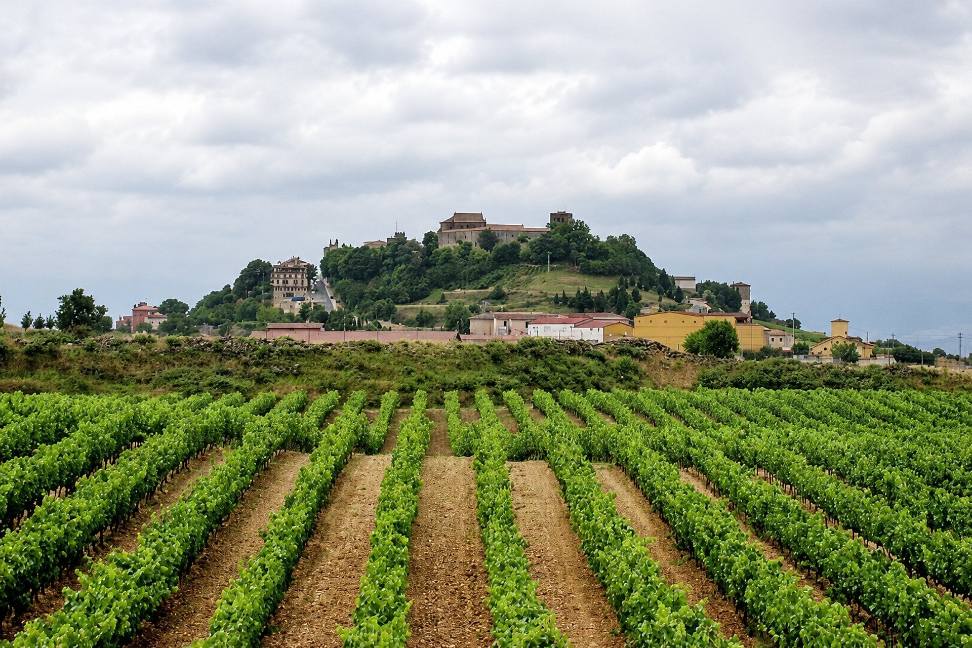 La Rioja y sus bodegas - Imagen 2