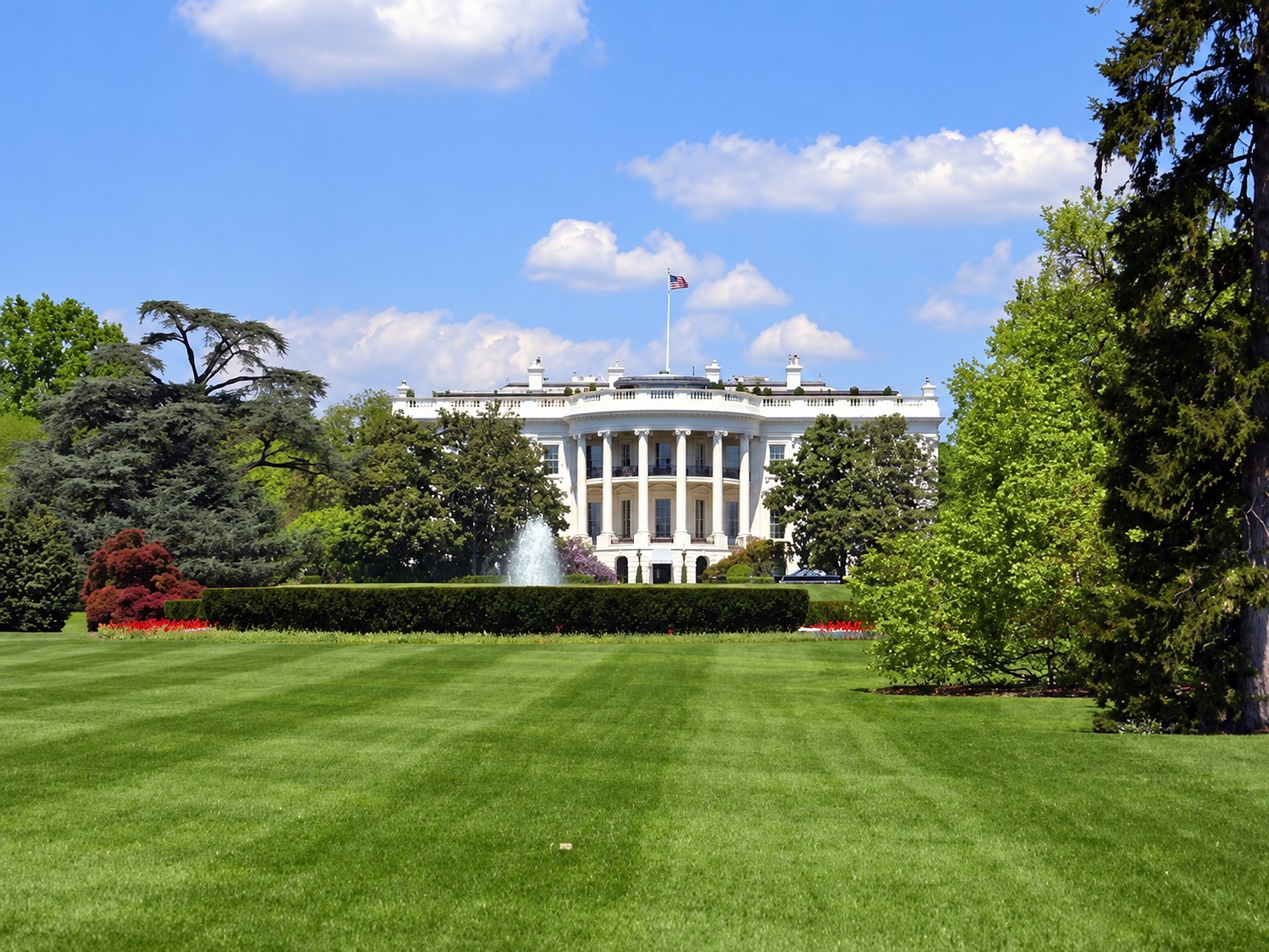 Washington D.C. en 1 día desde Nueva York - Imagen 1