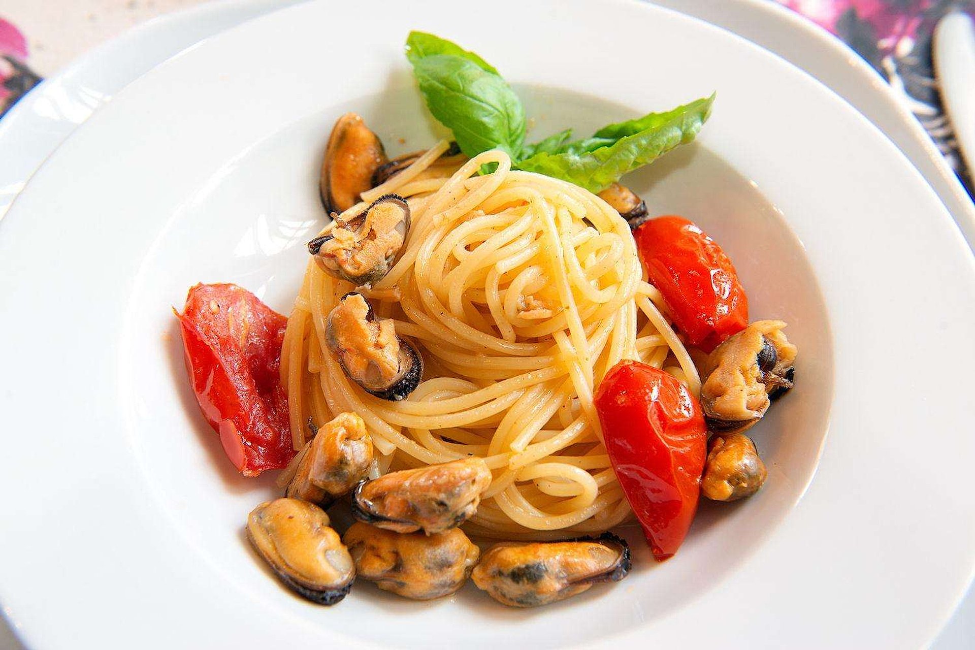 Clase de pasta y tiramisú en Lecce - Imagen 1