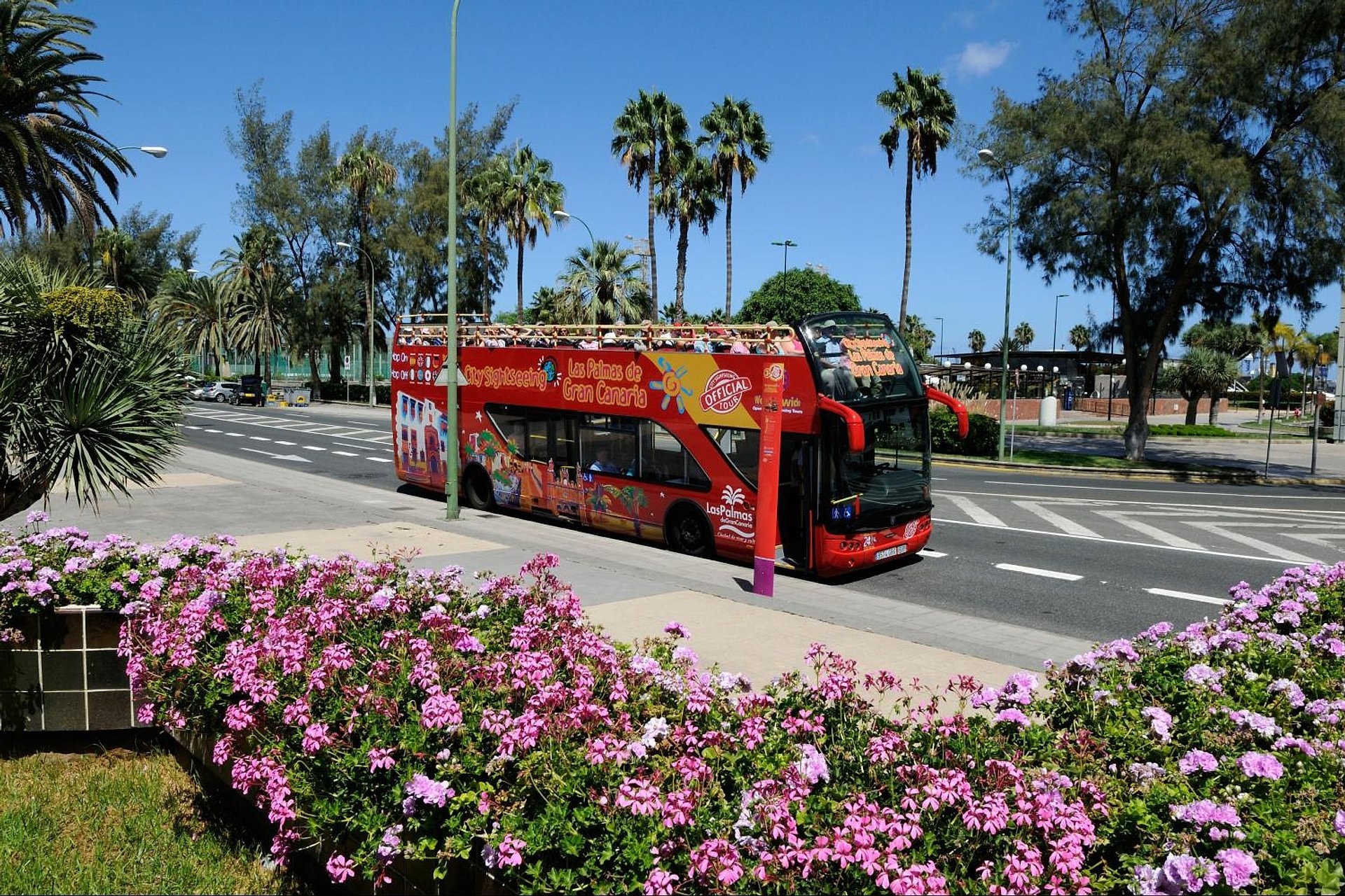 Bus turístico Hop-on Hop-off Las Palmas - Imagen 1