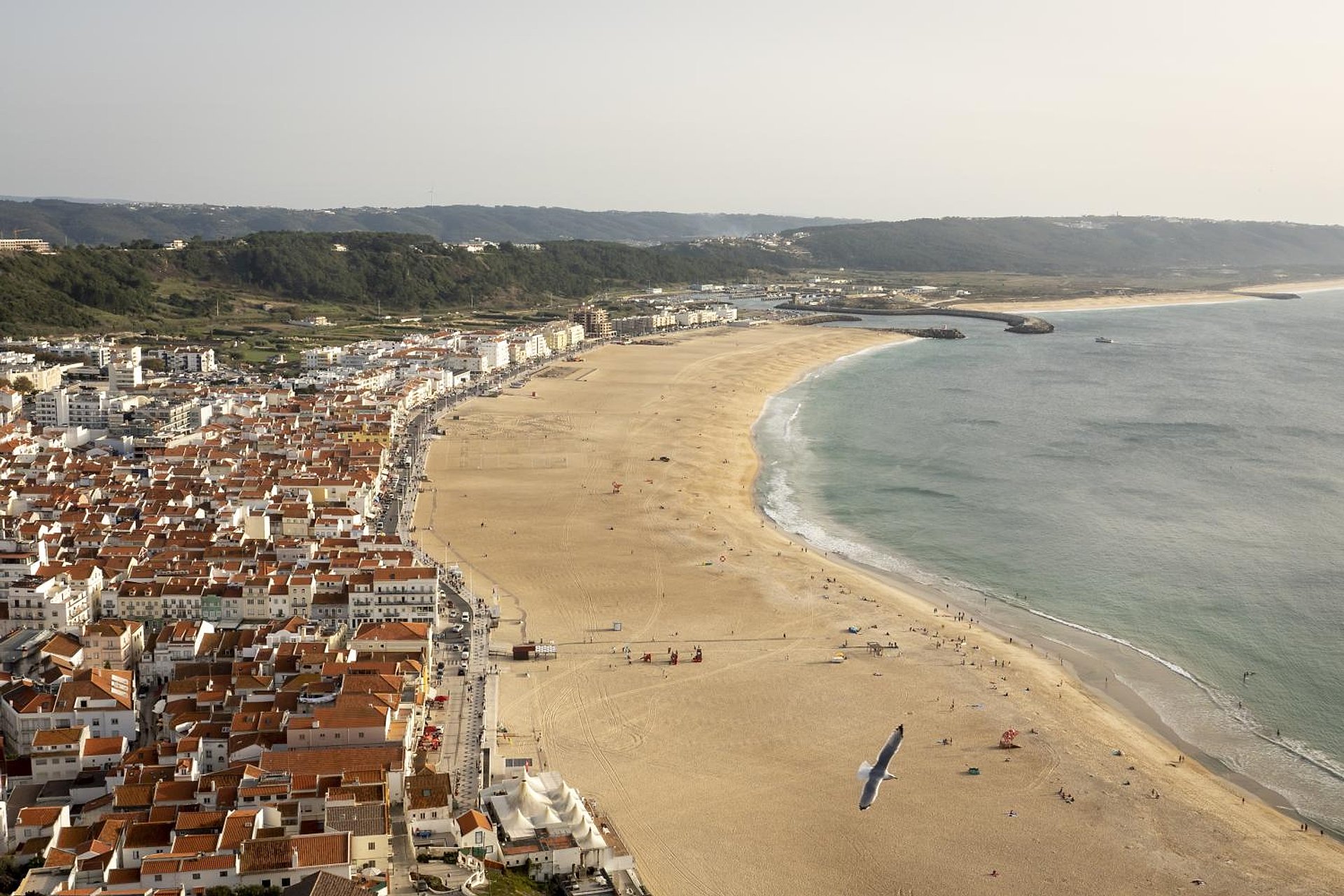 Tres ciudades: Sintra, Nazaré y Fátima - Imagen 1
