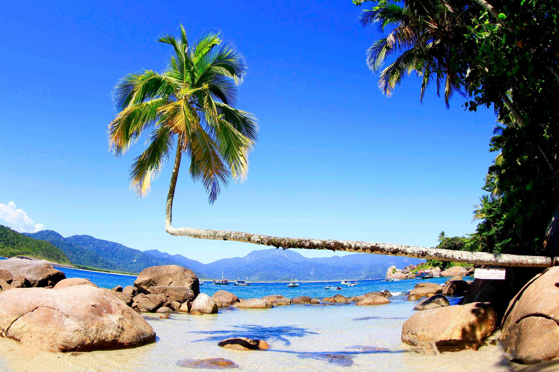 Día completo alrededor de Isla Grande - Imagen 1