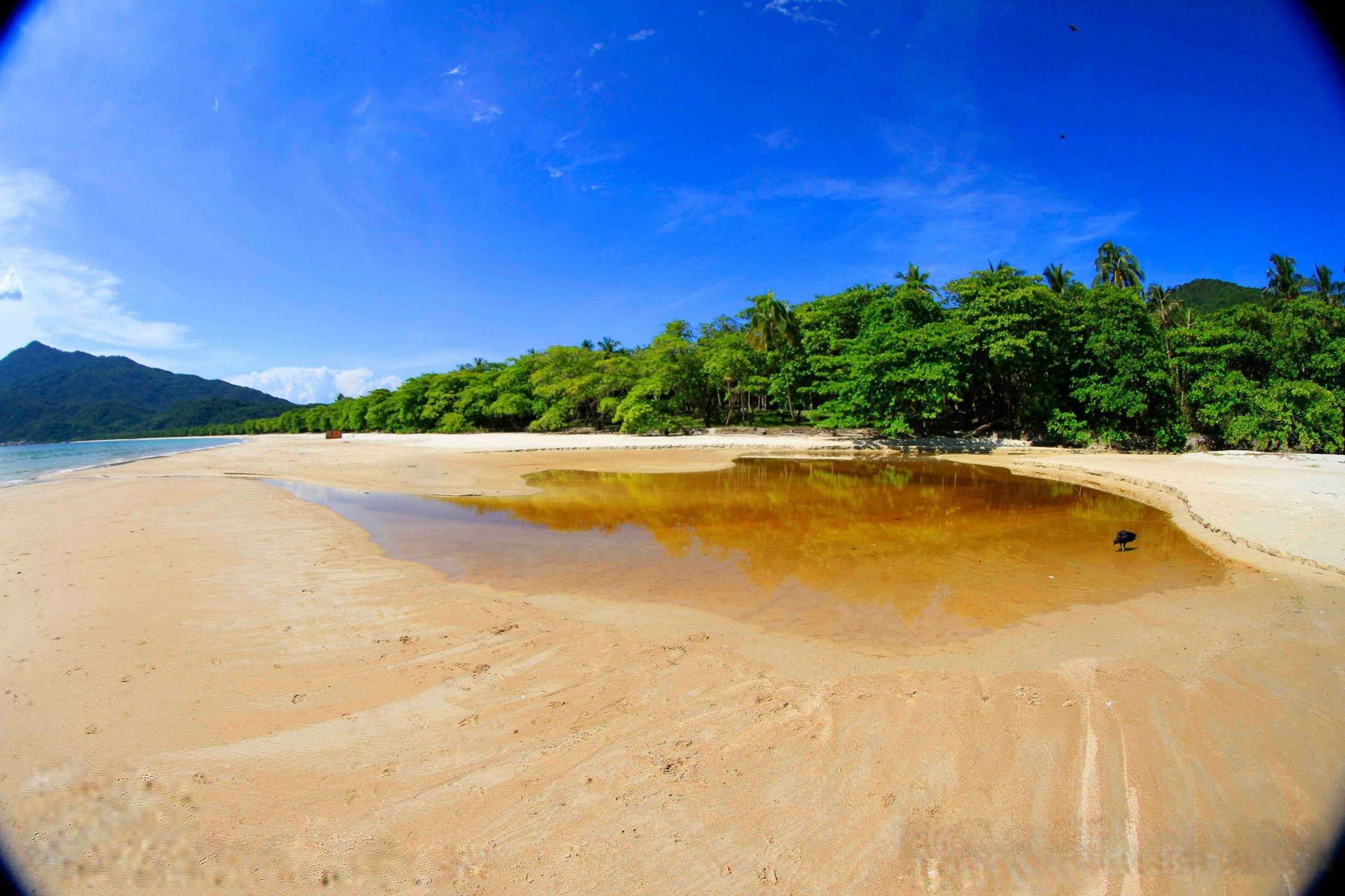 Visita a Playa de Lopes Mendes - Imagen 1