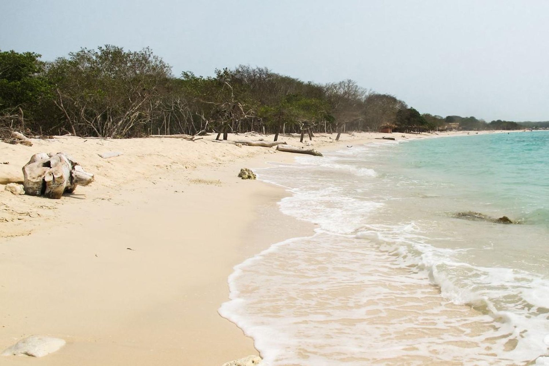Pasadía en Isla Barú por tierra - Imagen 1