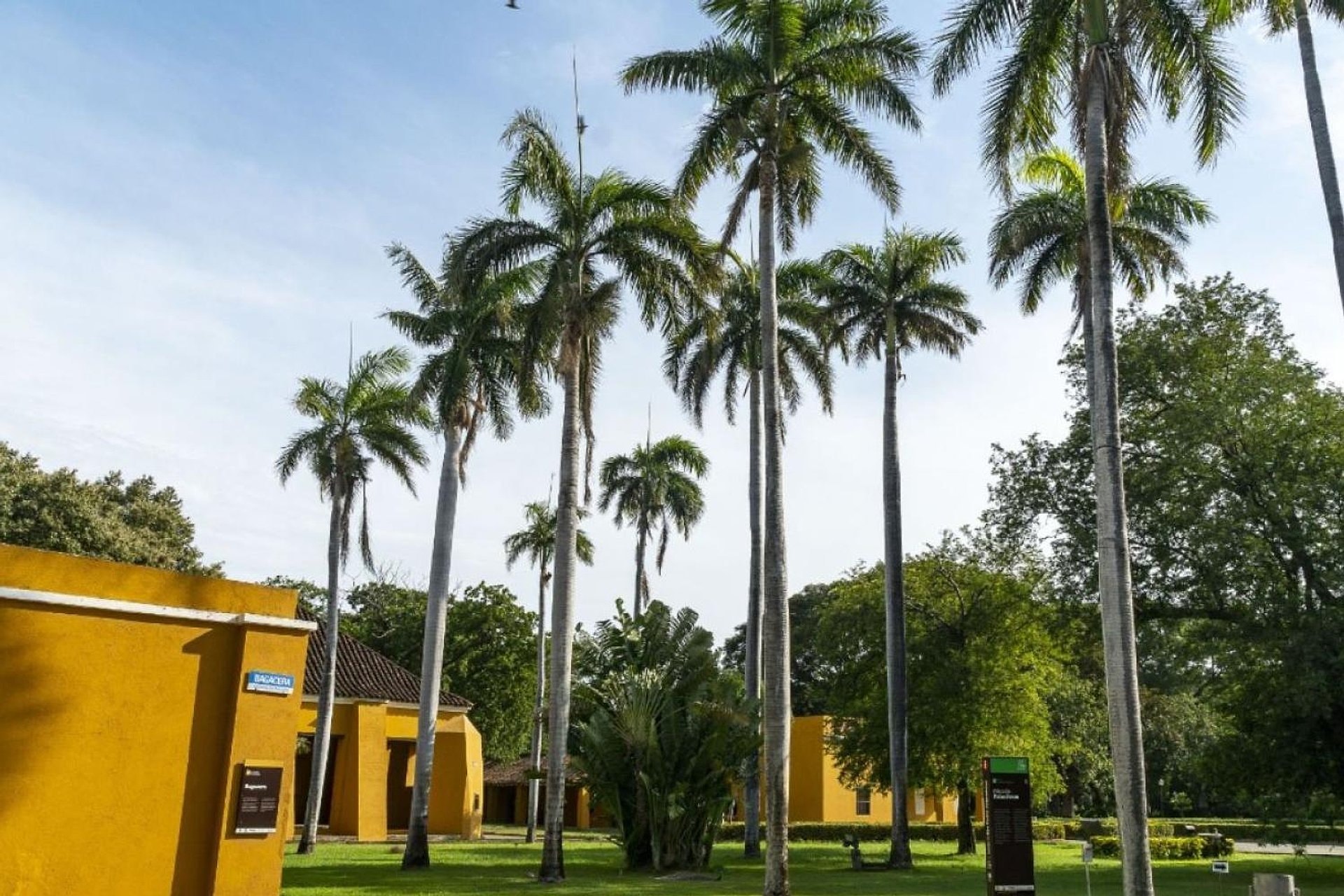 Recorrido por la ciudad de Santa Marta - Imagen 1
