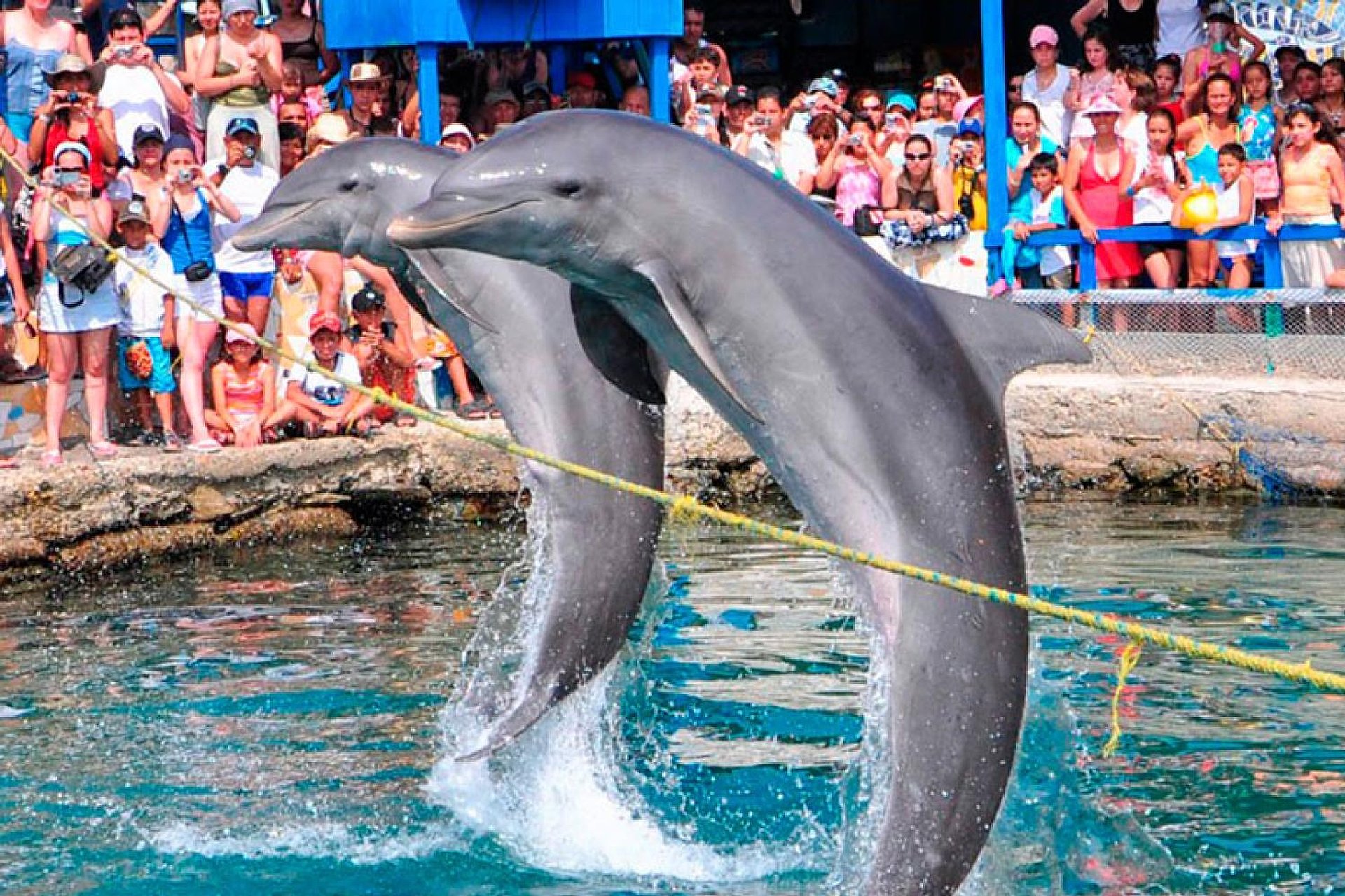 Acuario y Playa Blanca en Santa Marta - Imagen 1