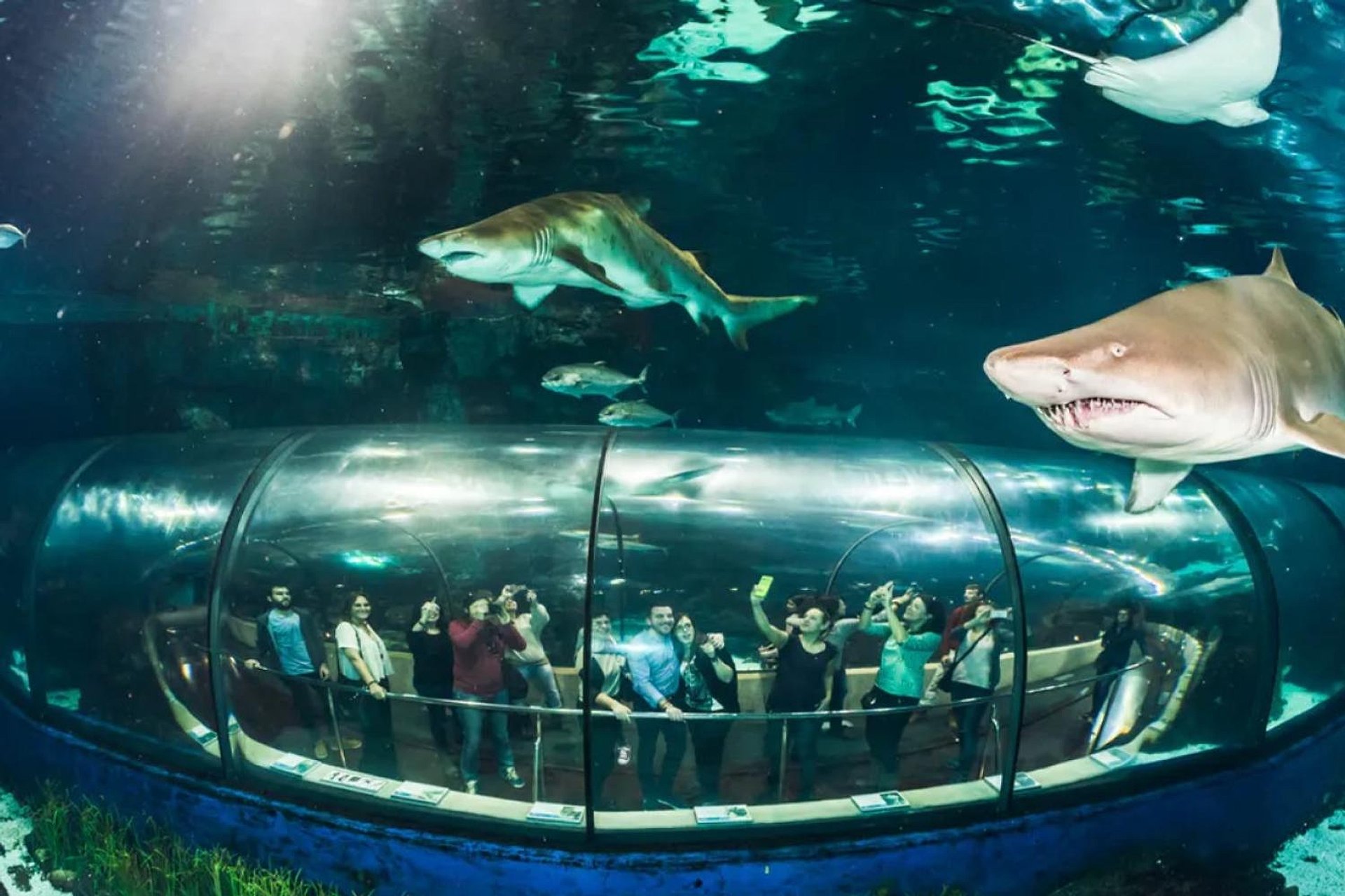 Entrada a L Aquàrium de Barcelona - Imagen 1