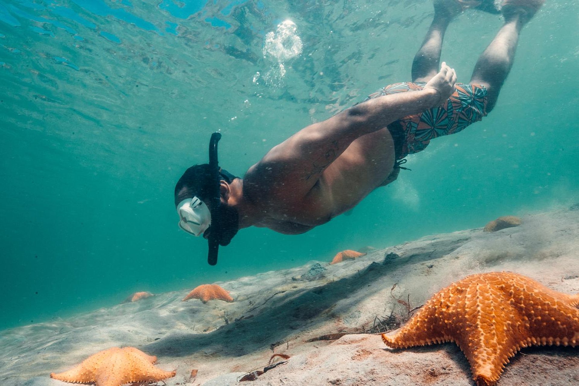Playa Estrella en Bocas del Toro - Imagen 1