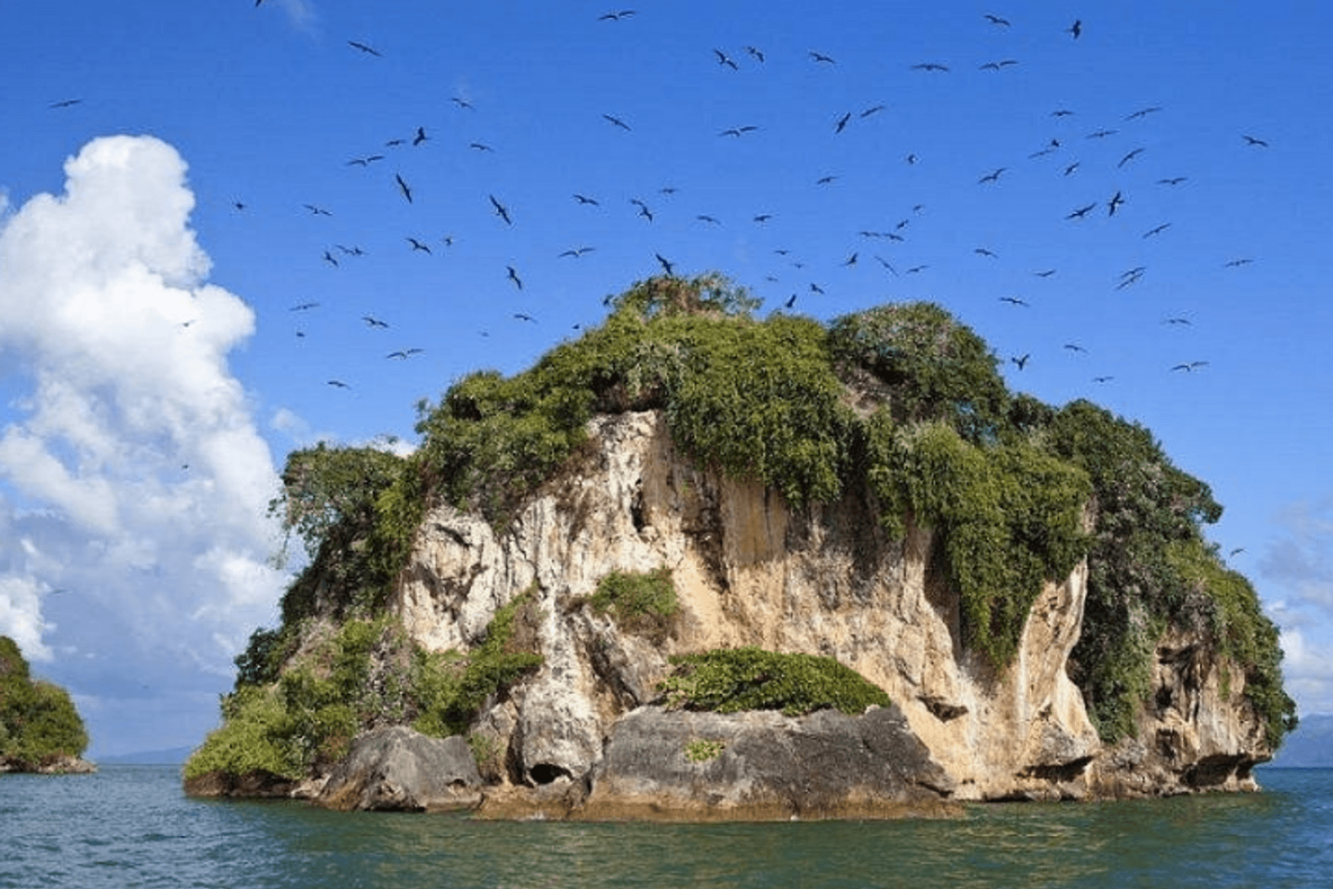 Los Haitises y Montaña Redonda con almuerzo - Imagen 1