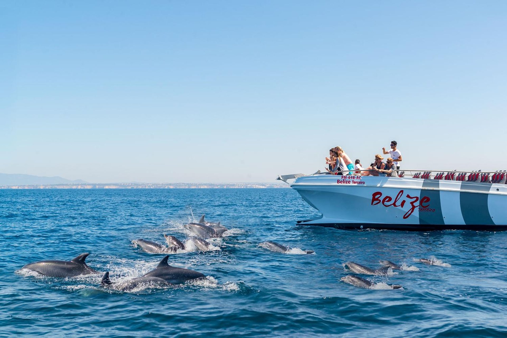 Delfines y Benagil en catamarán - Imagen 1