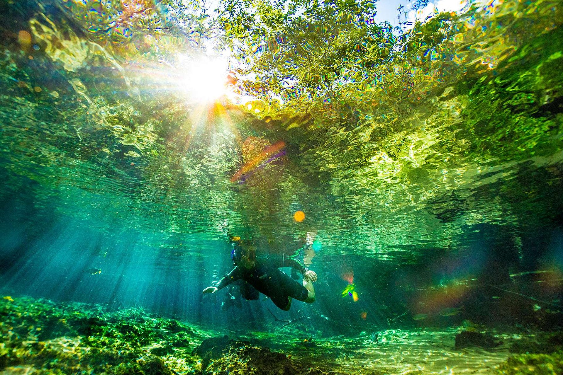 Flotante - Rincón ecológico Rio da Prata - Imagen 1