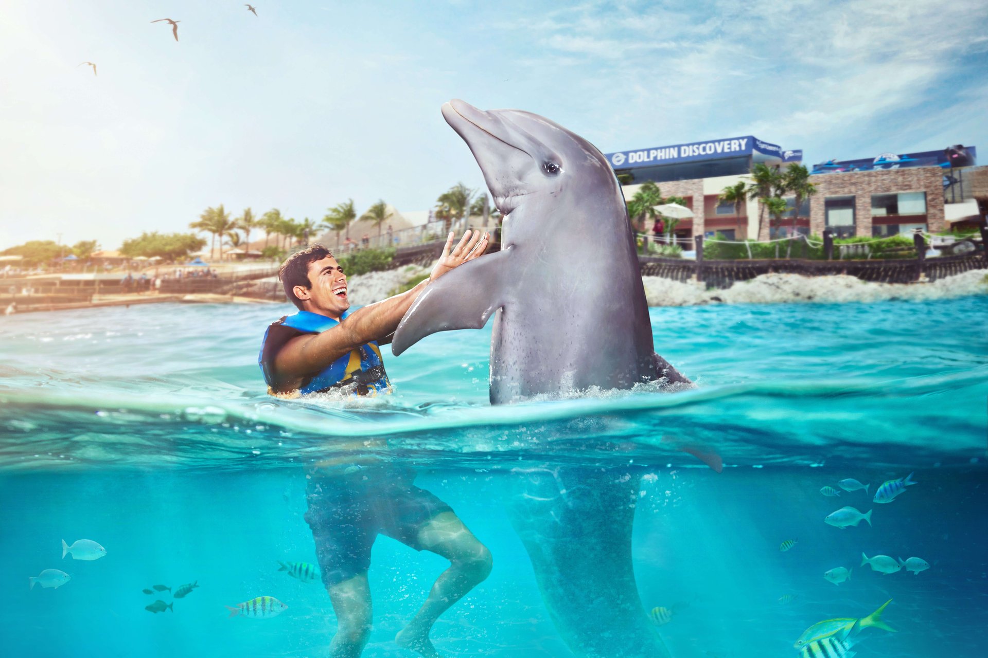 Encuentro con Delfines en Isla Mujeres - Imagen 1