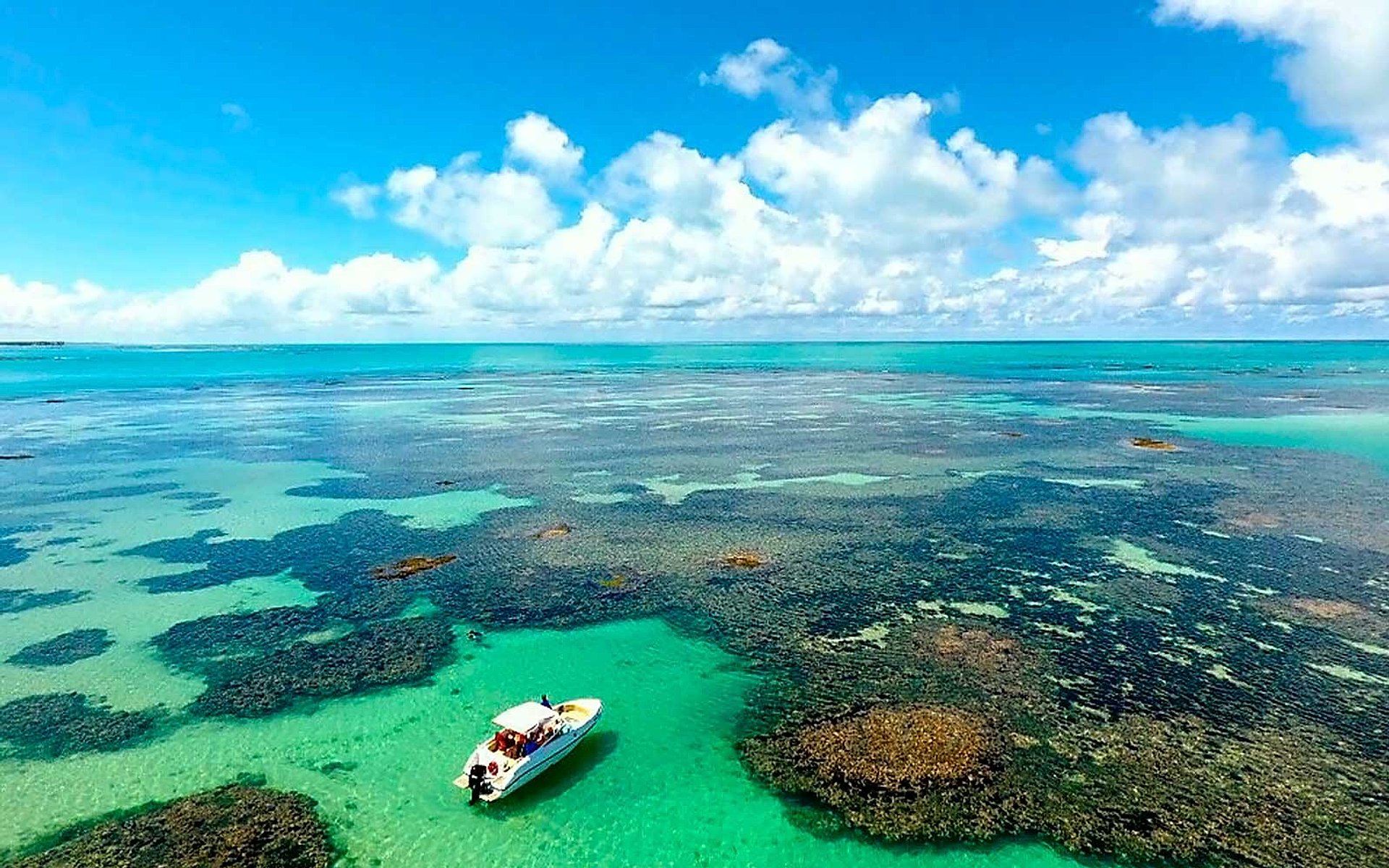 Excursión de un día a la playa de Paripueira - Imagen 1