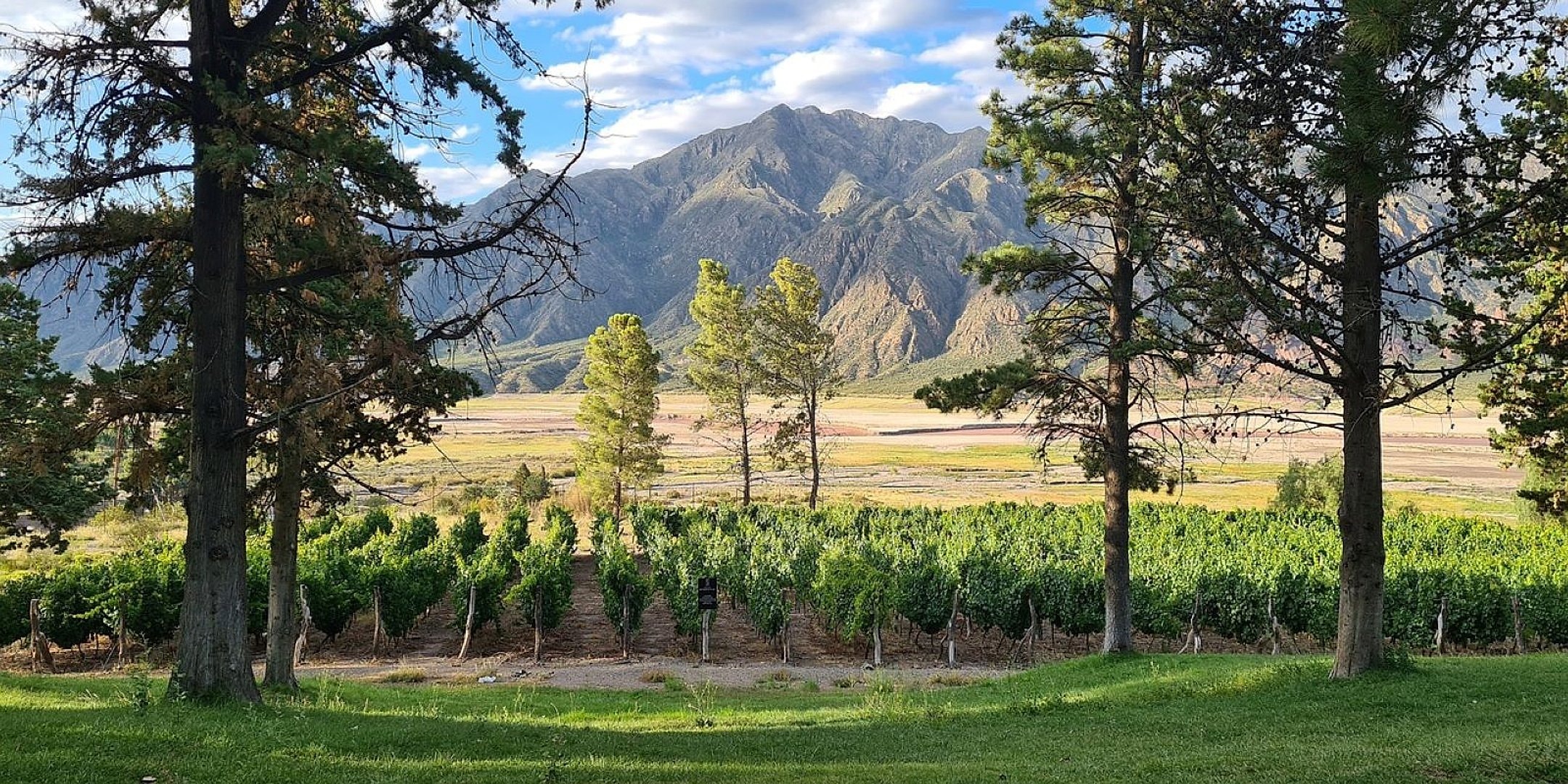 Valle de Uco: vino, cultura e historia - Imagen 1