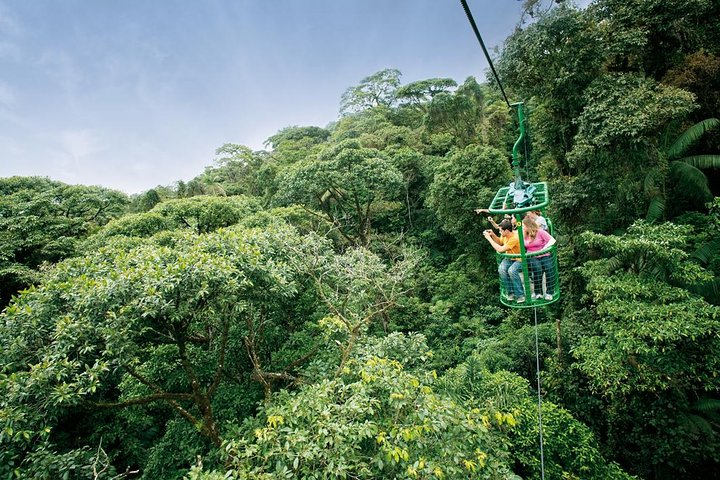 Aventura 6 en 1 en la selva tropical - Imagen 1