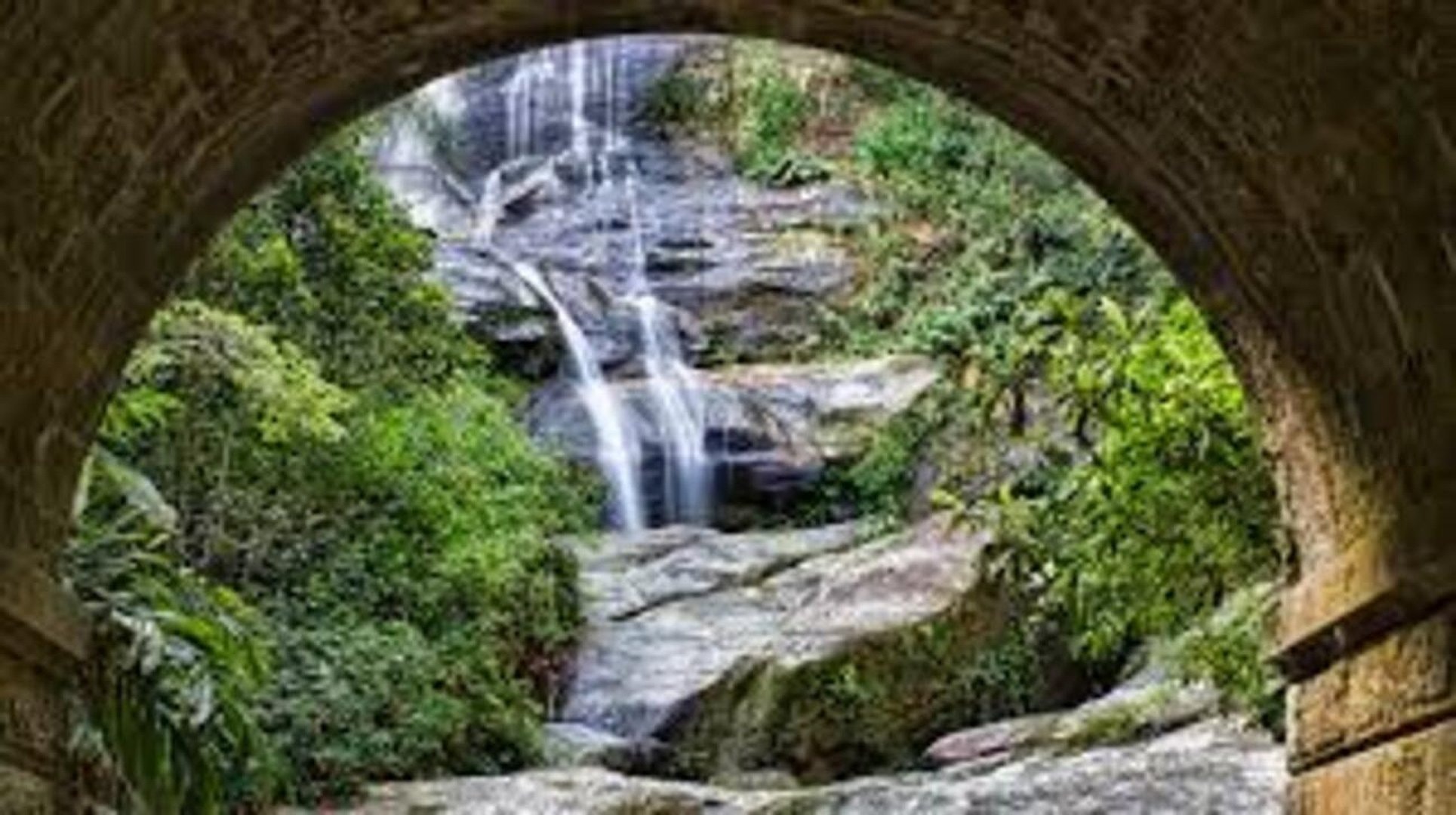 Bosque de Tijuca y Botánico con entrada - Imagen 1