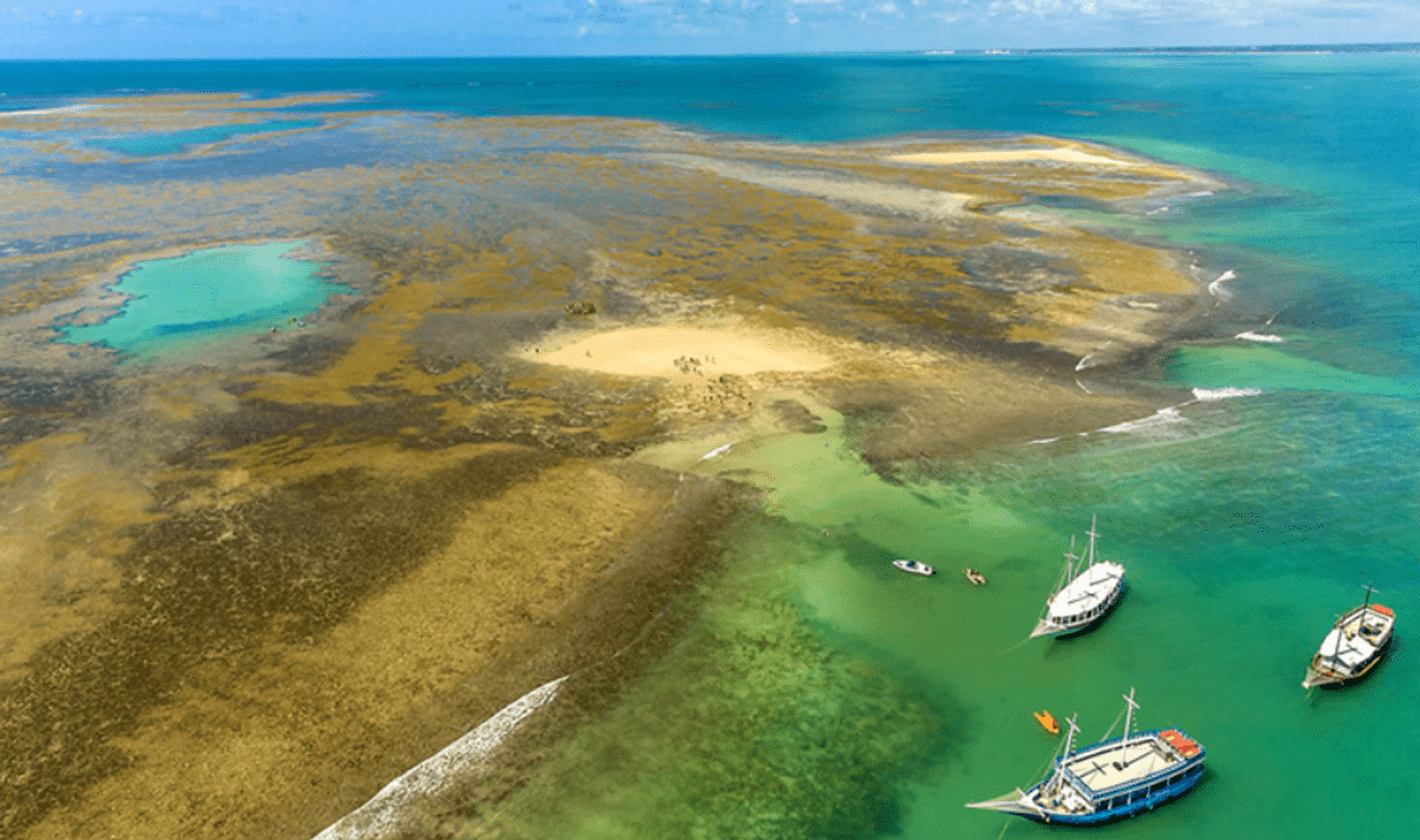 Tour al Recife de Fora - Imagen 1