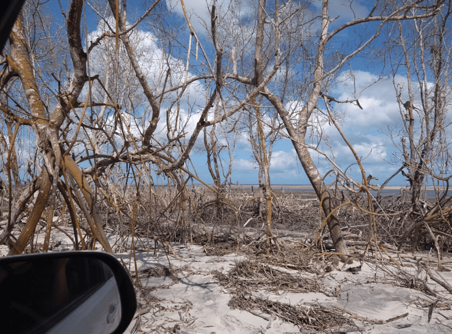 Tour por la Costa Oeste - Imagen 1