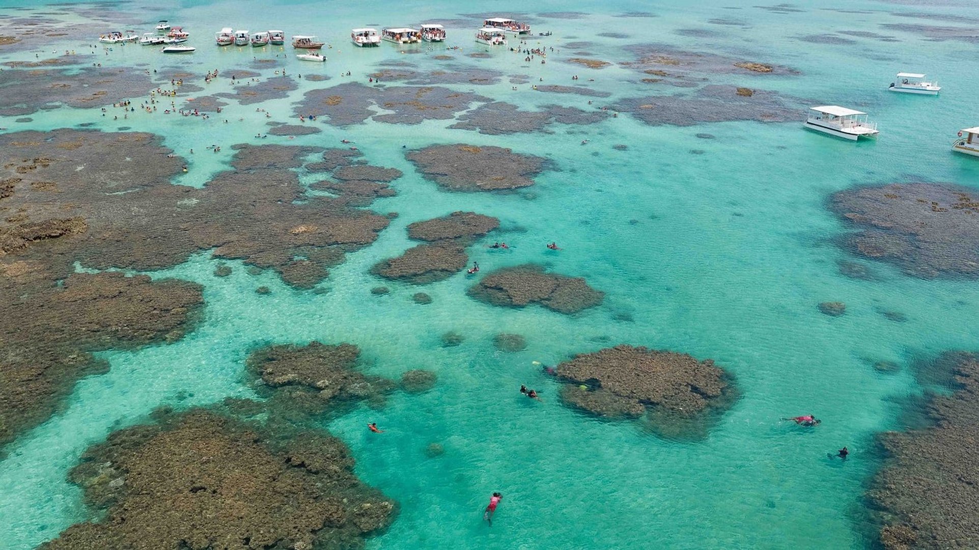 Tour a Maragogi - Imagen 1