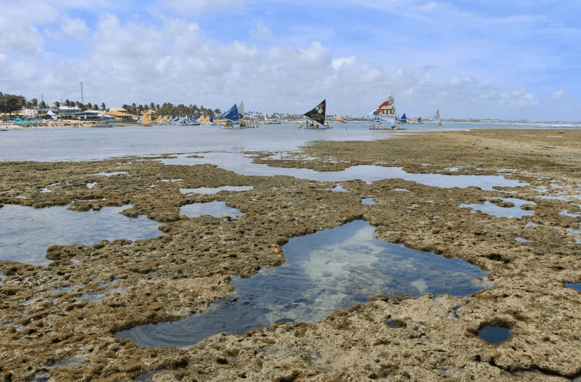 Visita a Porto de Galinhas - Imagen 1
