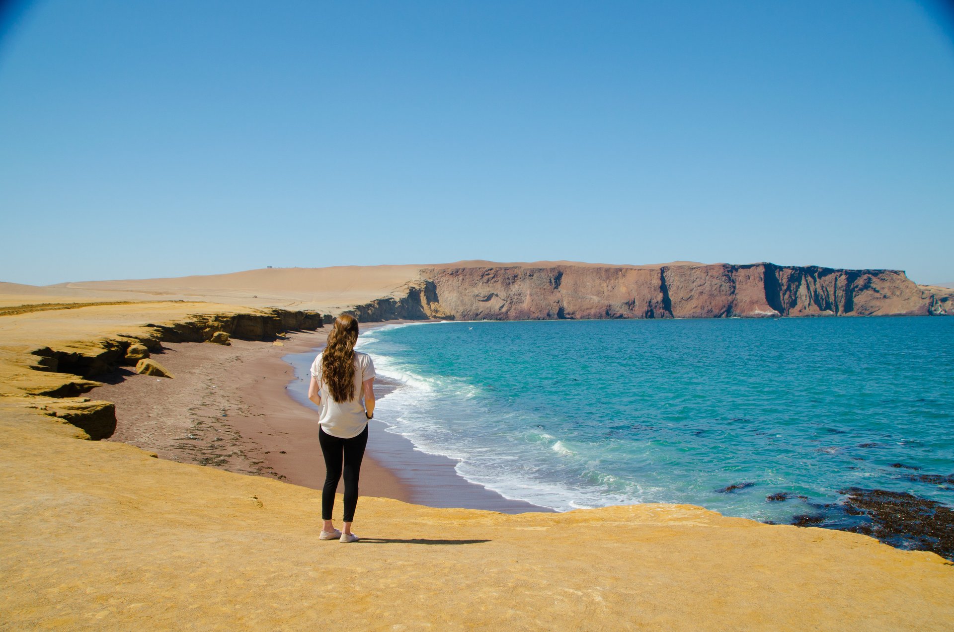 Ballestas y Reserva de Paracas: día completo - Imagen 1