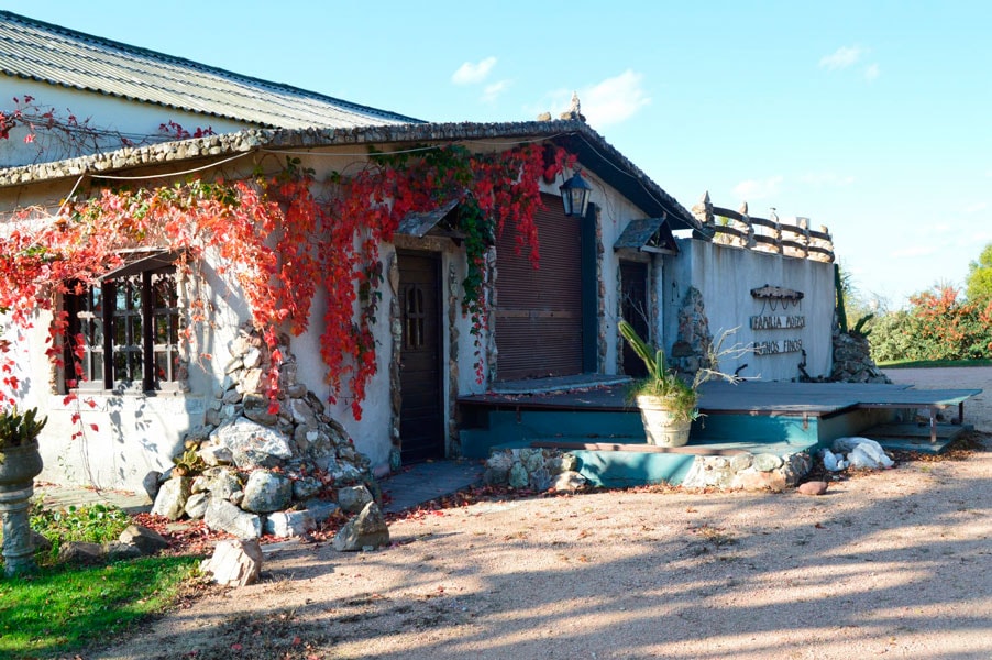 Visita a la Bodega Moizo - Imagen 1