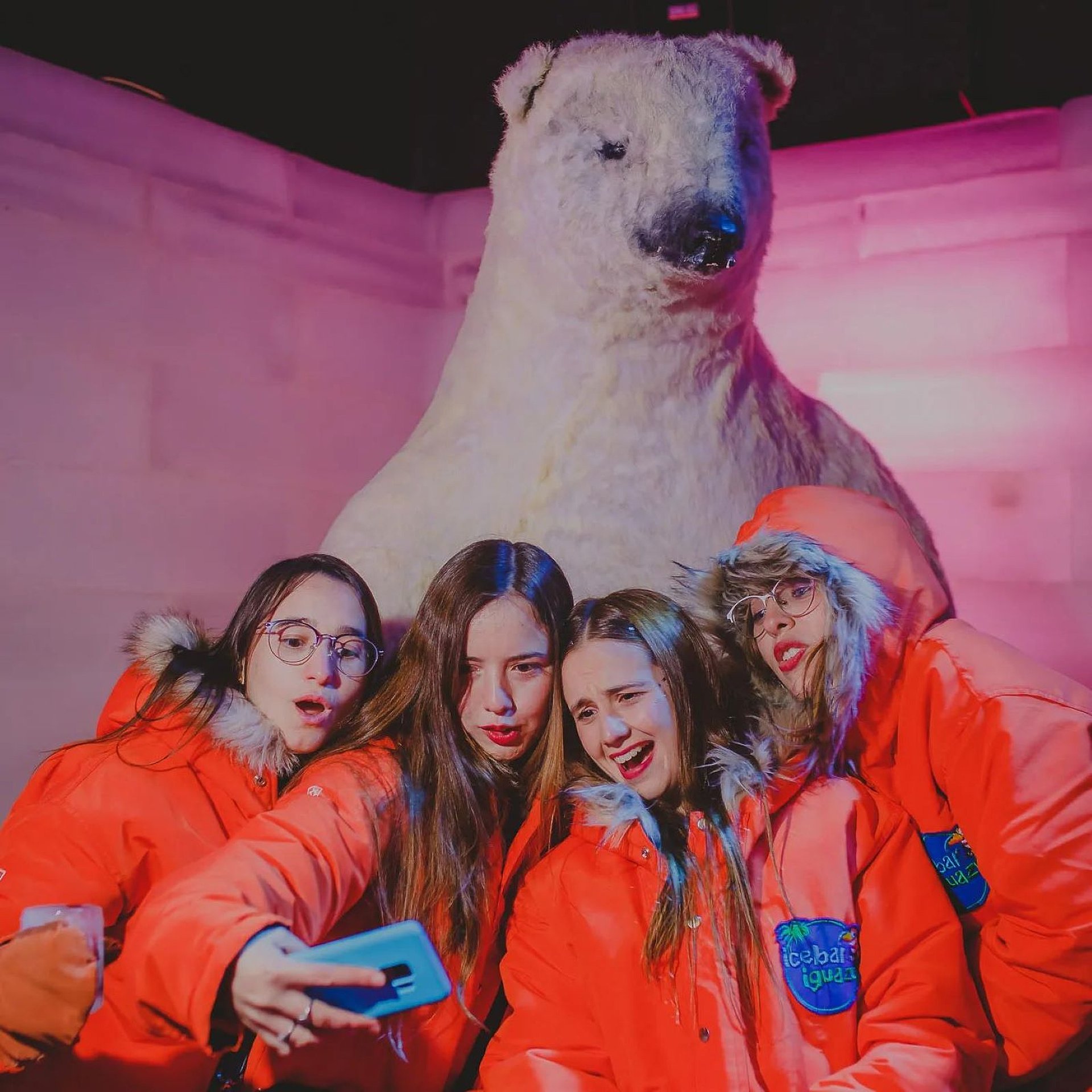 IceBar Iguazú: aventura helada - Imagen 1