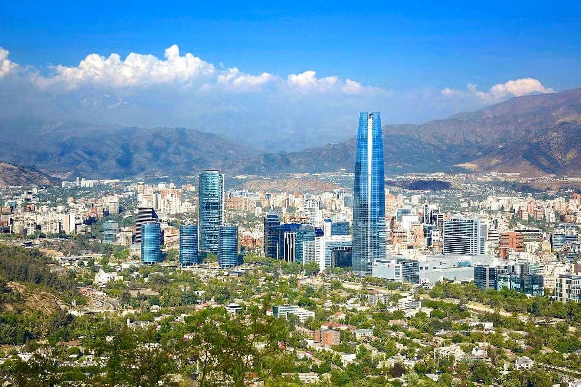 City tour y Concha y Toro con transporte - Imagen 1