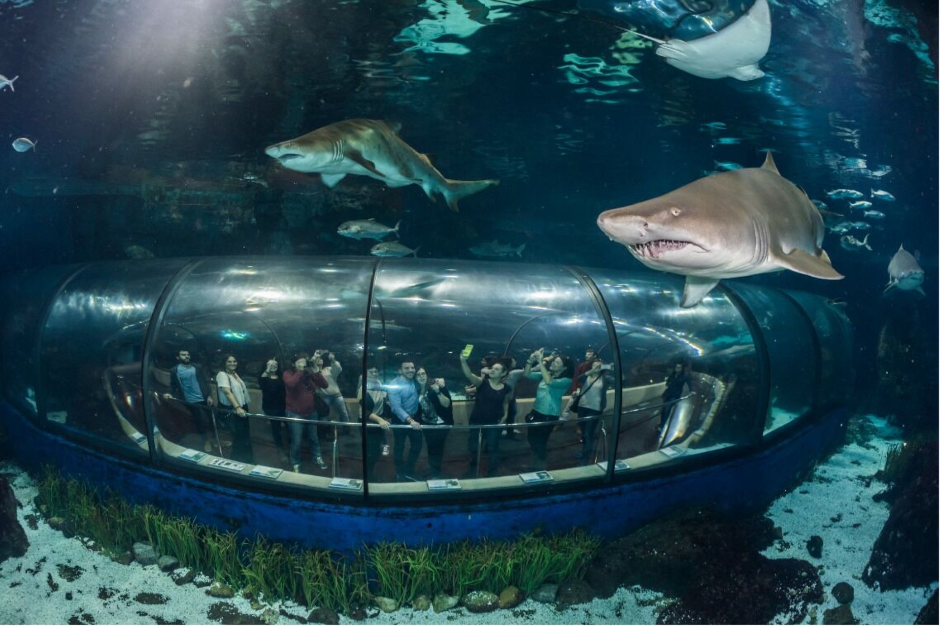 El Aquarium de Barcelona - Imagen 1
