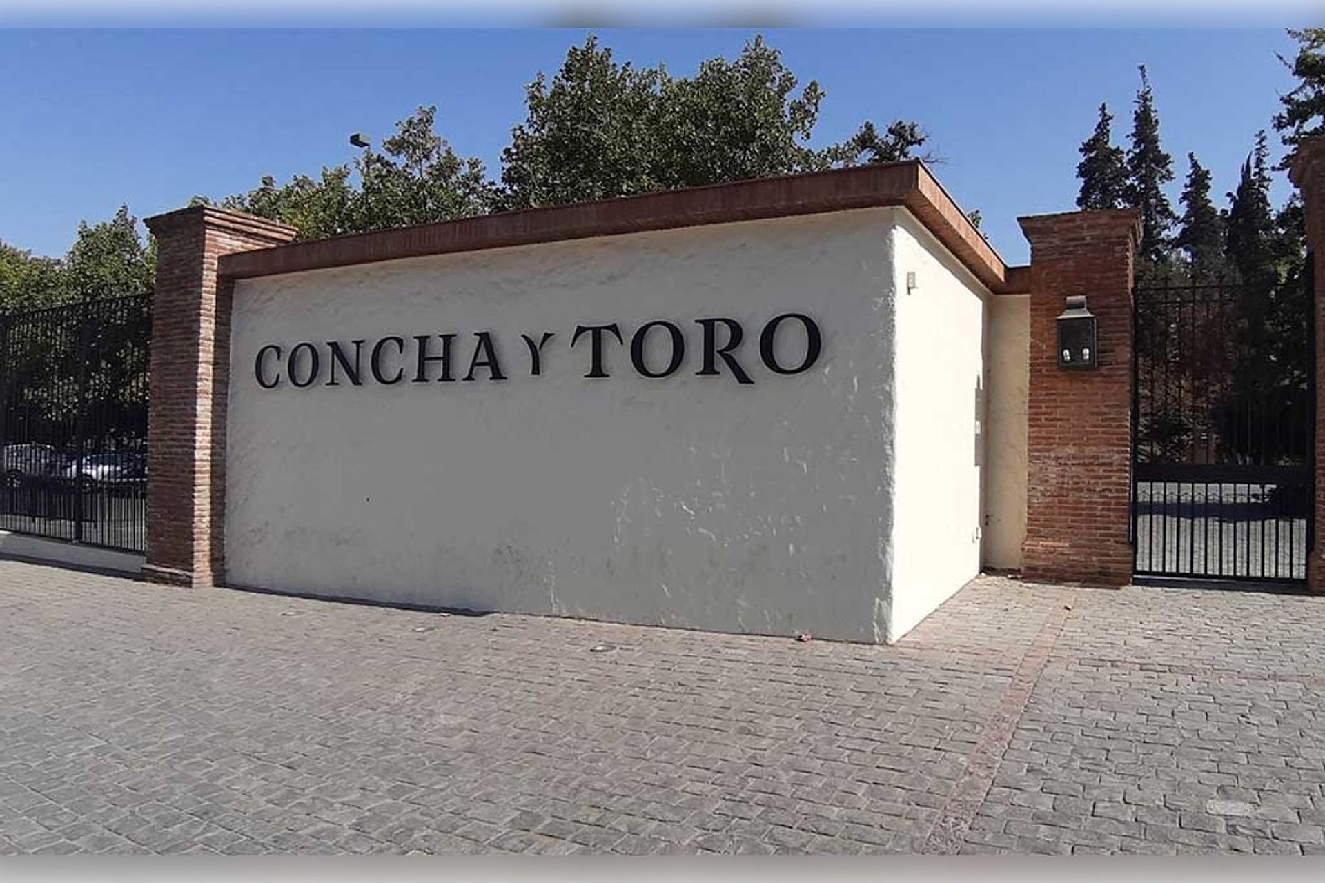 Visita a Viña Concha y Toro Standard - Imagen 1