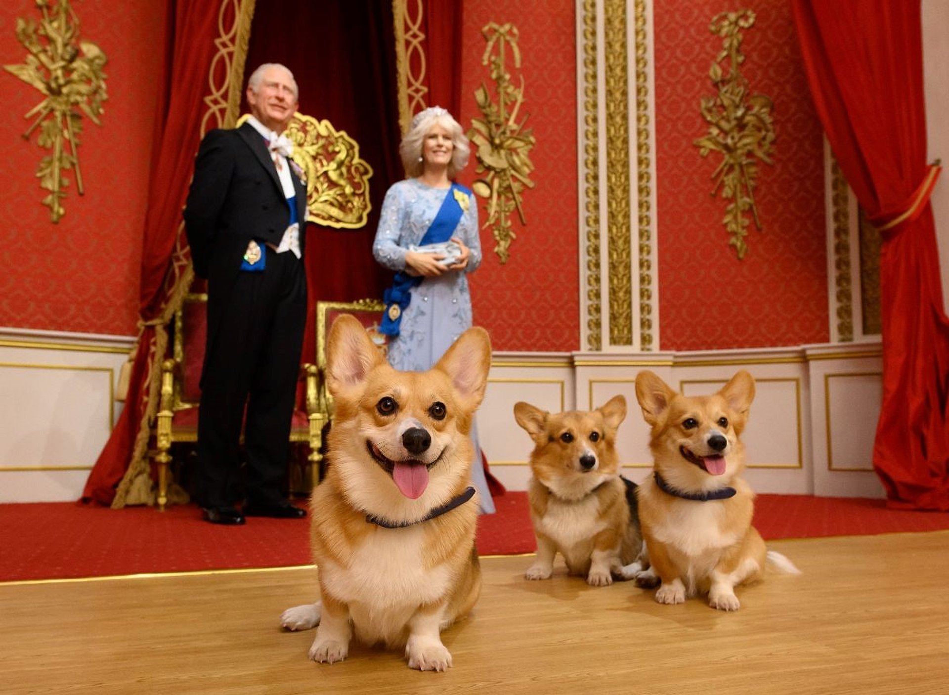 Bus 24, 48 o 72 h con Madame Tussauds - Imagen 1
