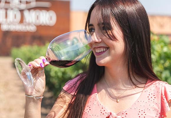 Los secretos del Vino: Ribera del Duero - Imagen 1