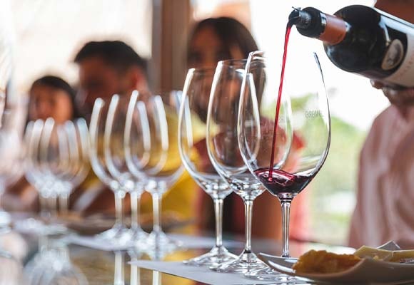 Bodega en Ribera del Duero con gastronomía - Imagen 1