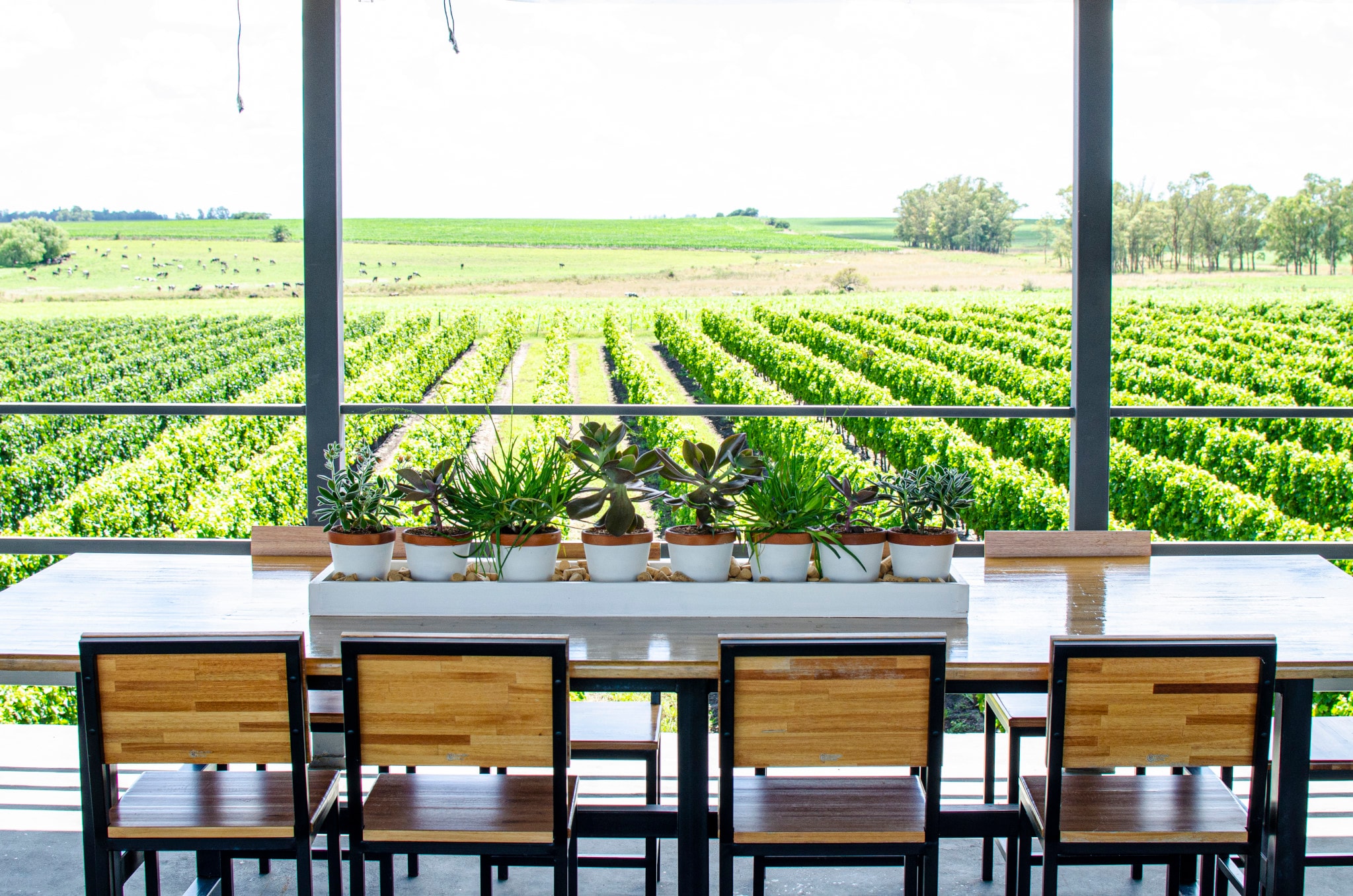 Bodega Fripp: visita, almuerzo y cata - Imagen 1