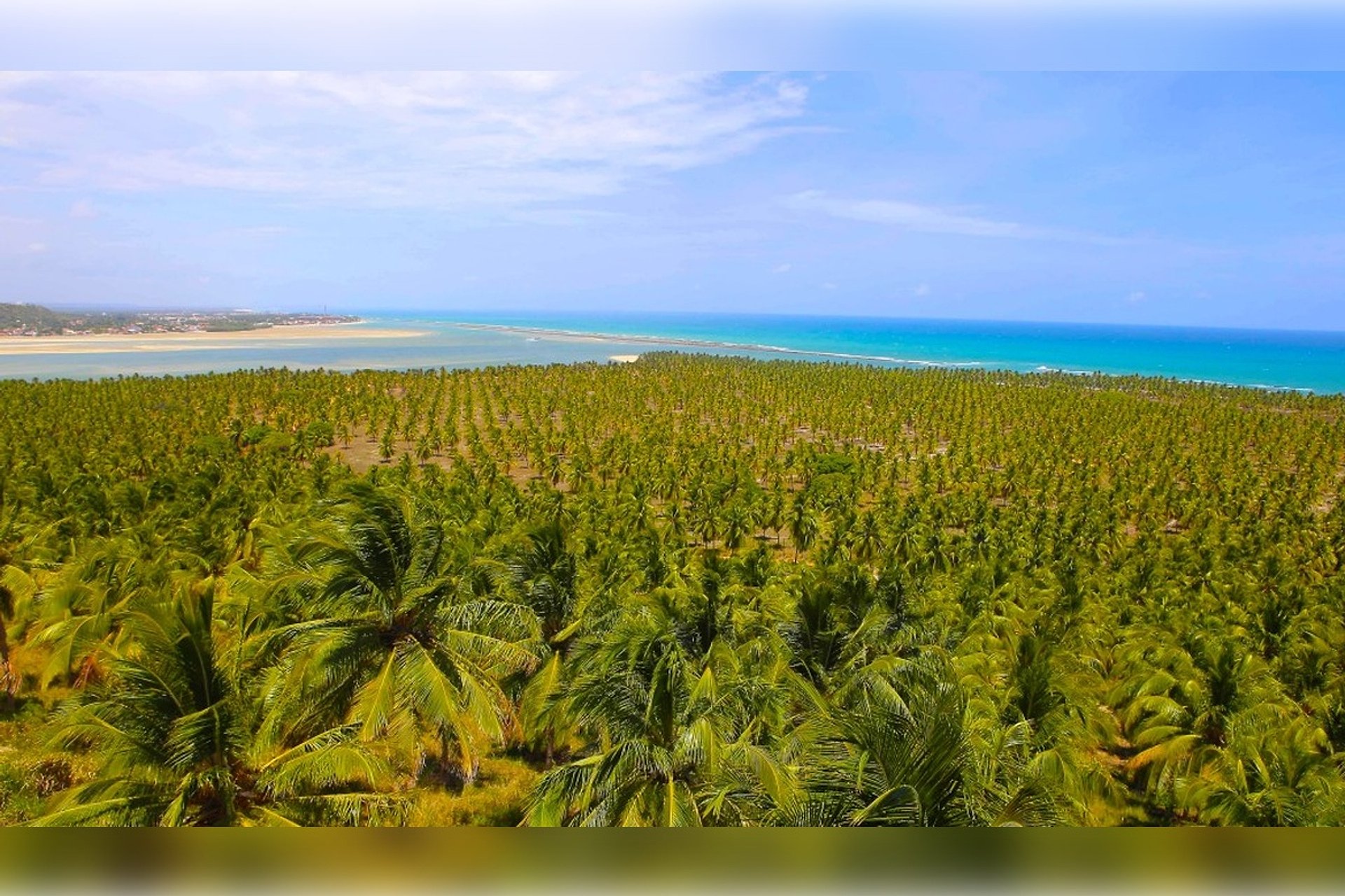 Playa de Gunga: La Joya Escondida de Maceió - Imagen 1